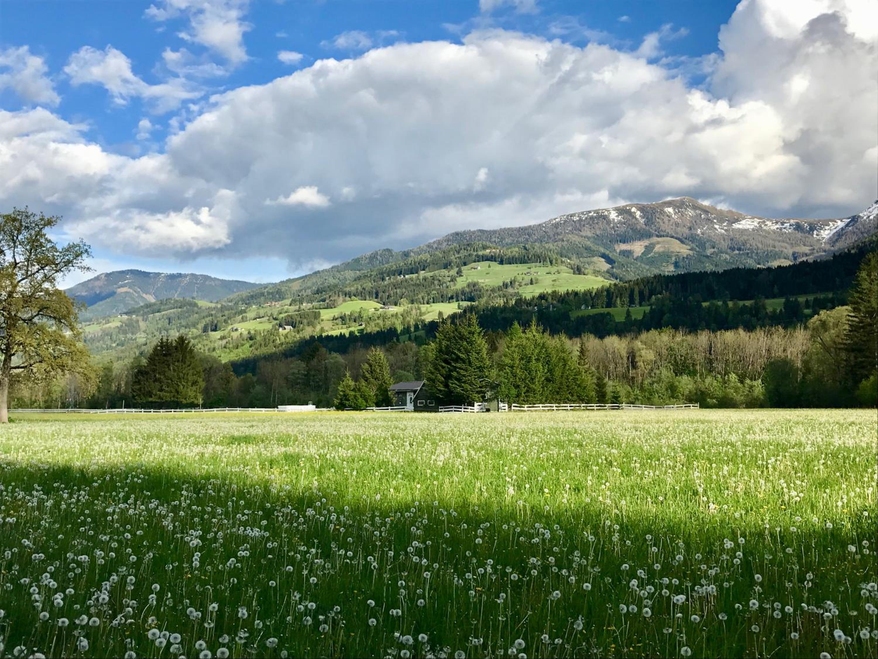 Traumhafte Wohnung auf Pferde Ranch