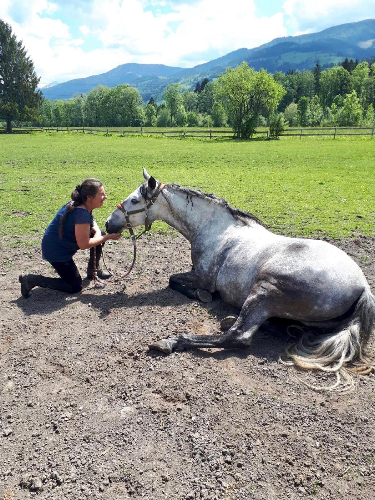 Traumhafte Wohnung auf Pferde Ranch