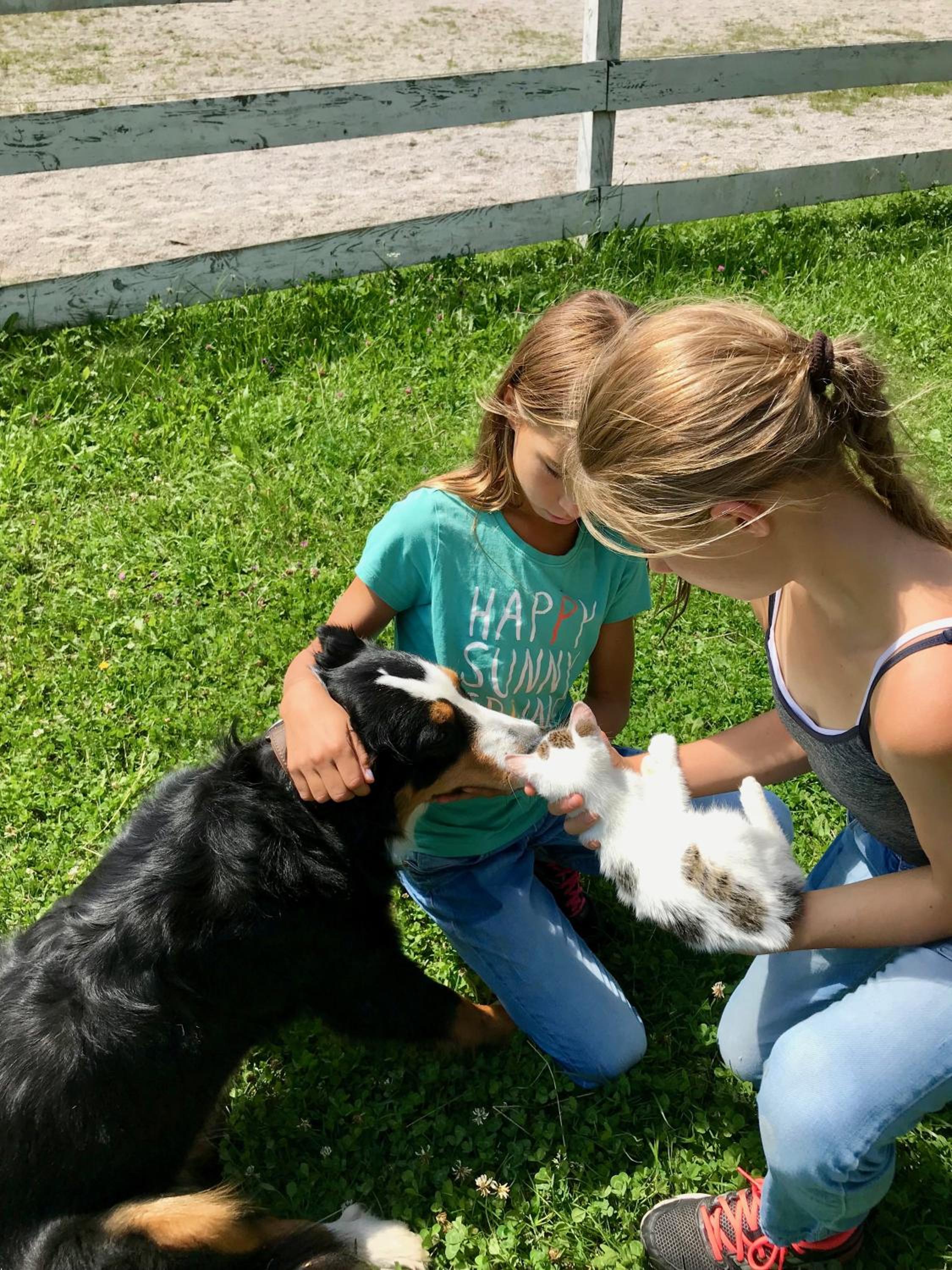 Traumhafte Wohnung auf Pferde Ranch