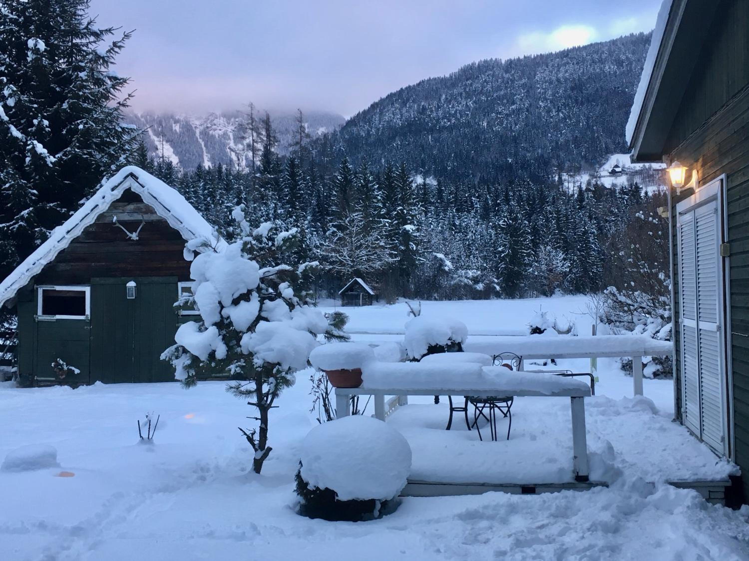 Traumhafte Wohnung auf Pferde Ranch