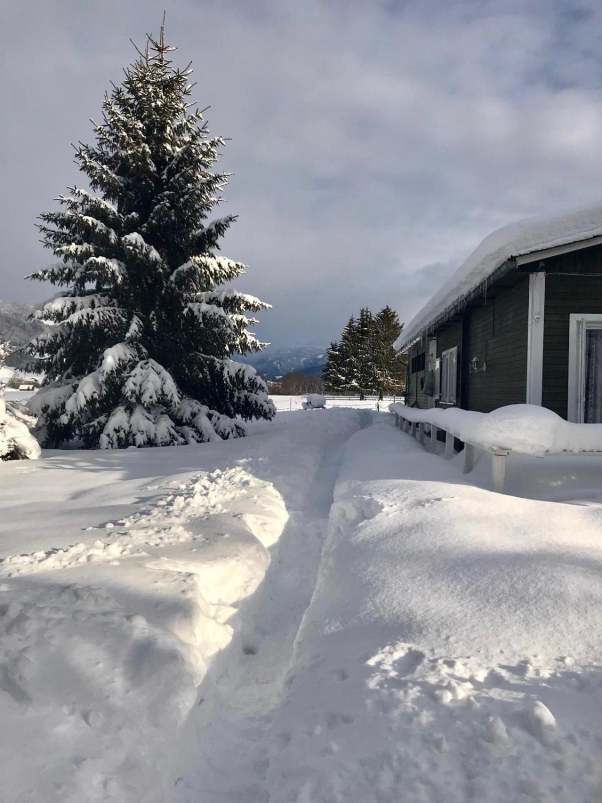 Traumhafte Wohnung auf Pferde Ranch