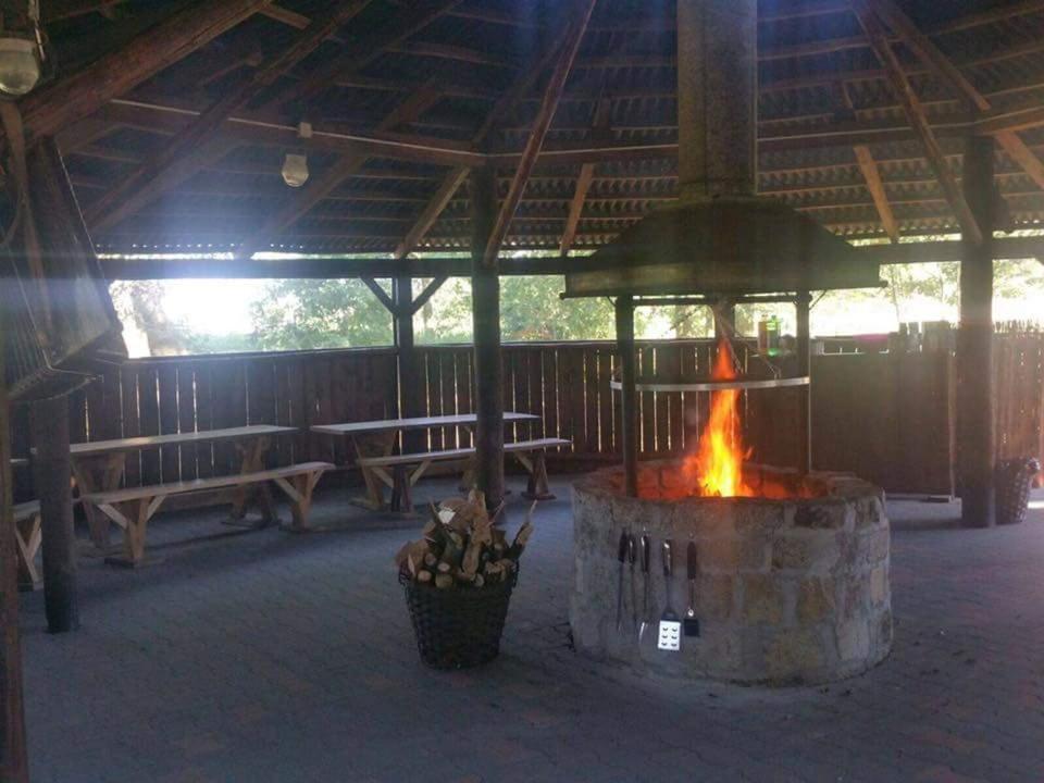 Photo 42
