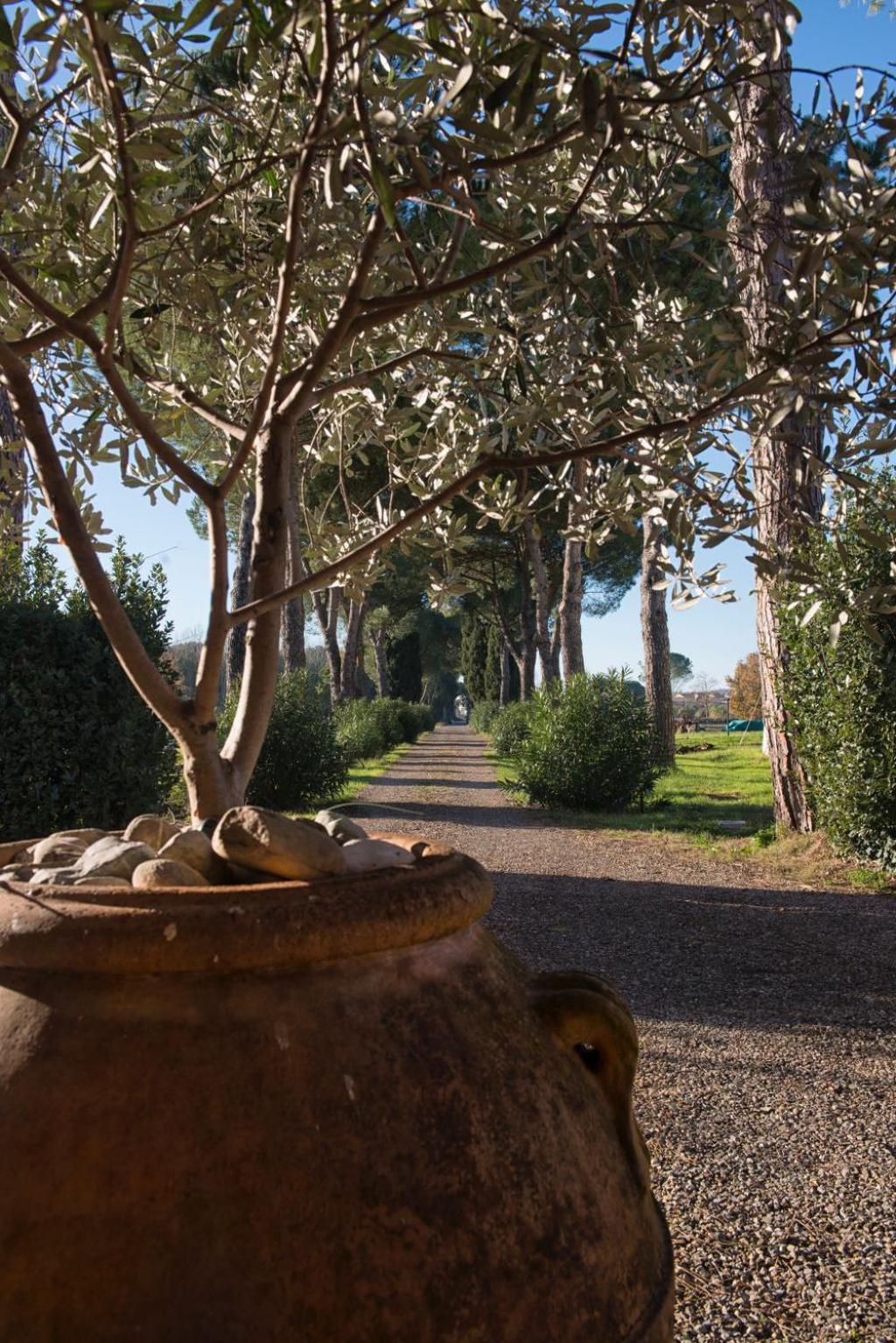 La Vecchia cantina Guzzardi view 3
