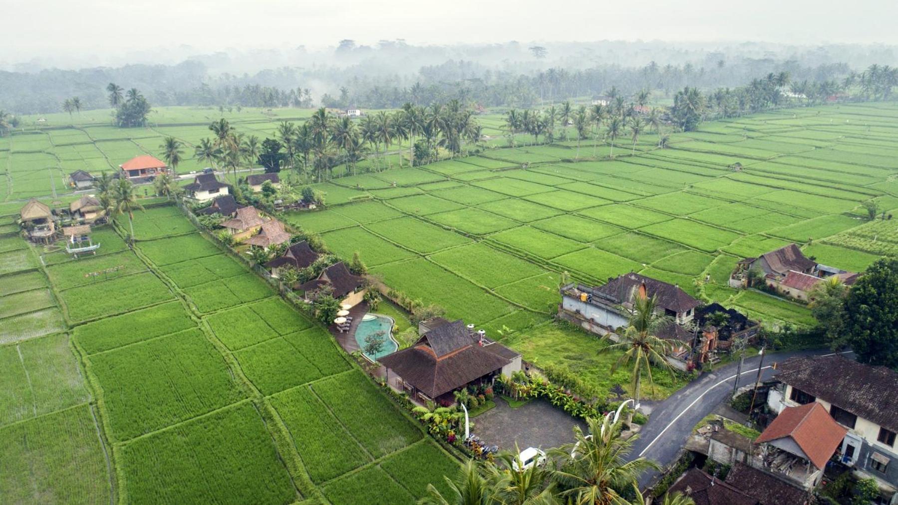 Hotel Kabinawa Ubud Villas And Cafe