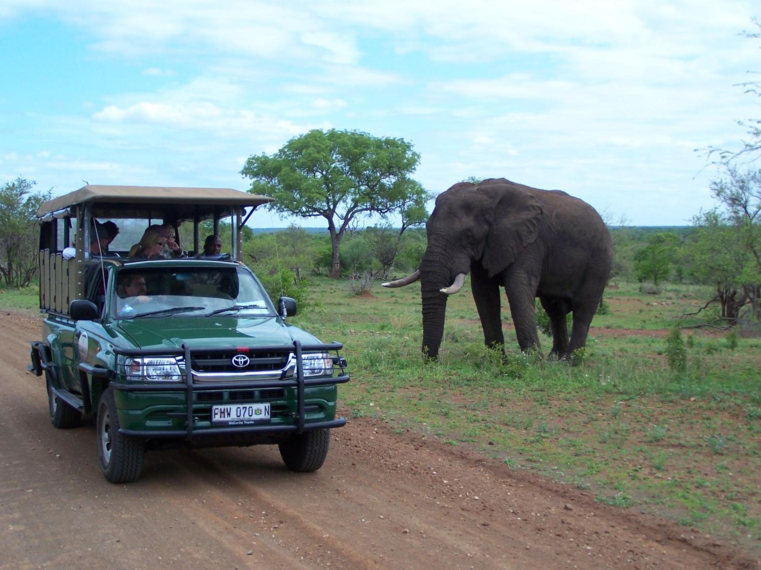 Thornhill Safari Lodge