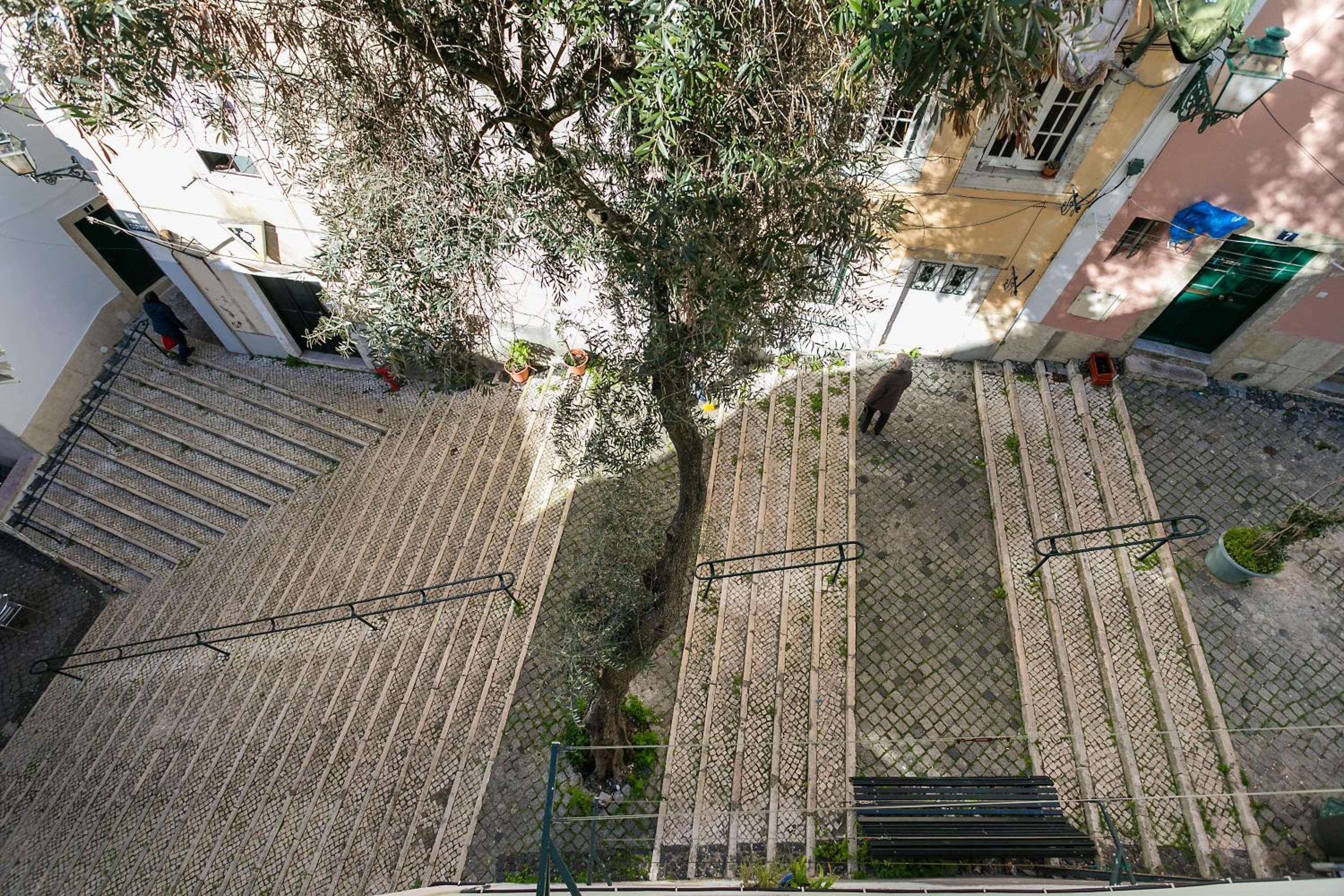 Photo 48