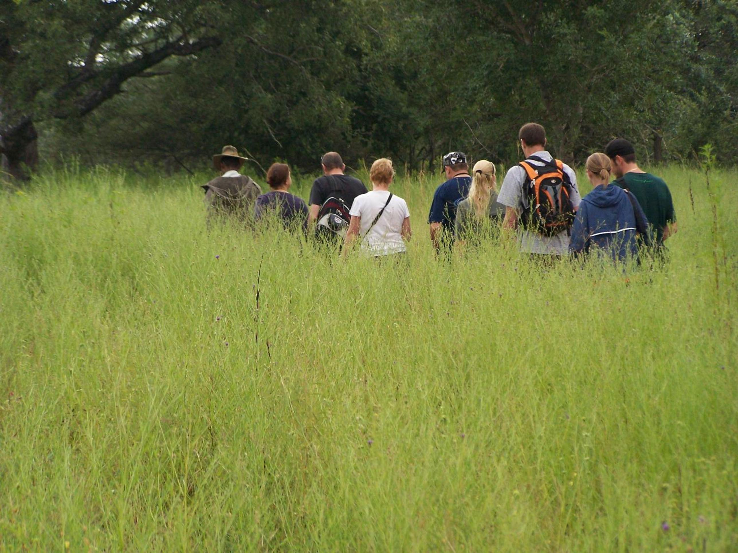 Thornhill Safari Lodge