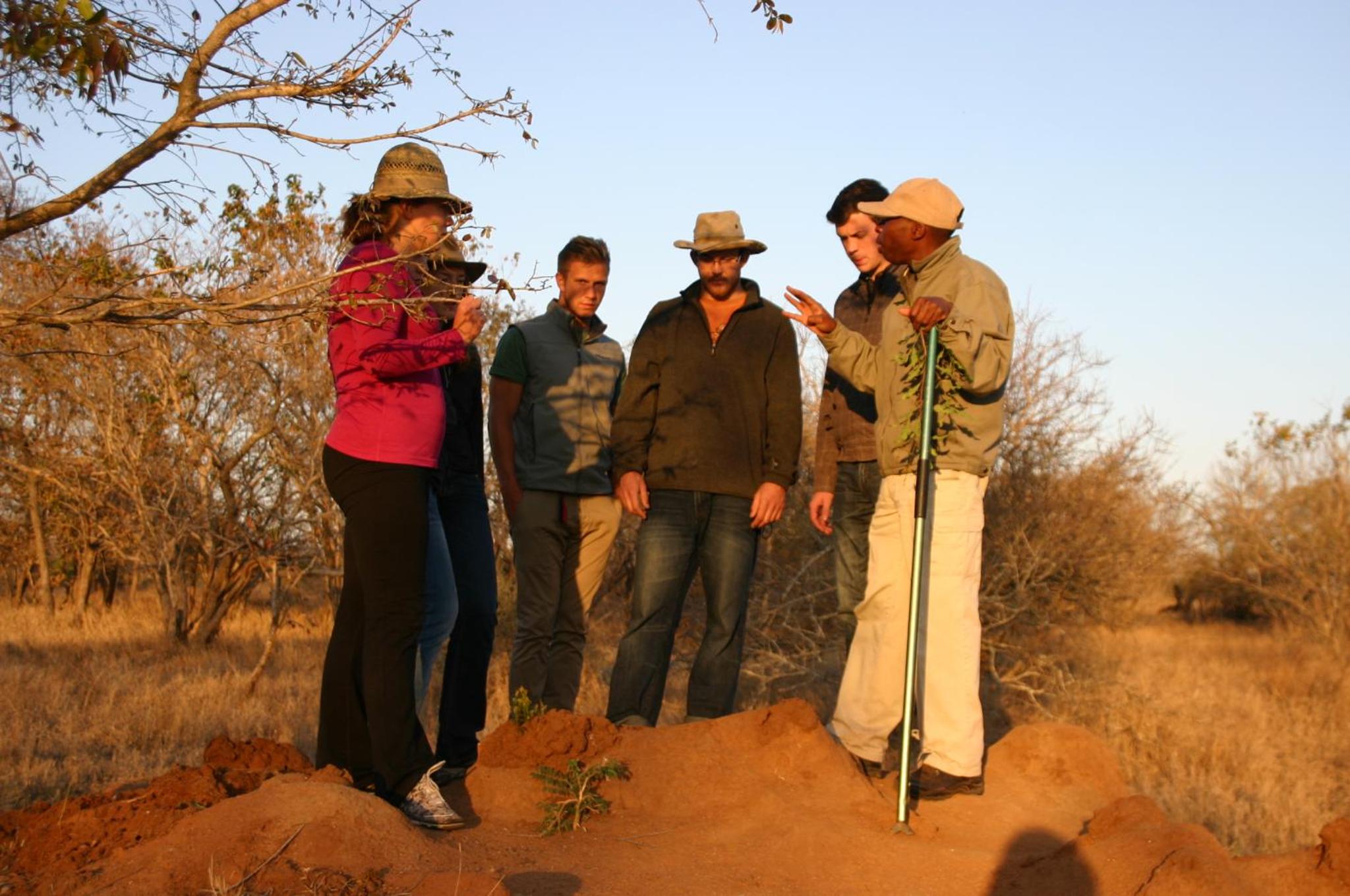 Thornhill Safari Lodge