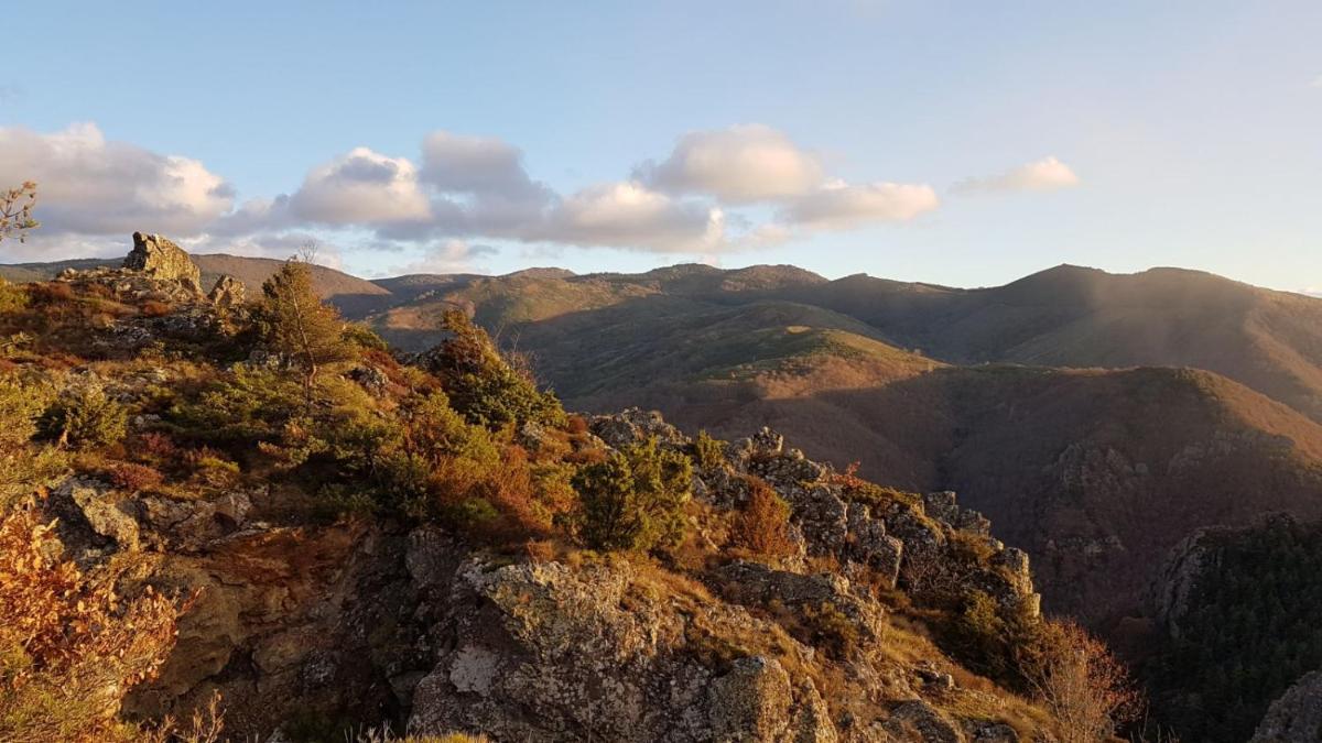 La Fougeraie Dourbies view 5