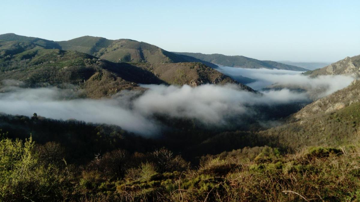 La Fougeraie Dourbies view 3