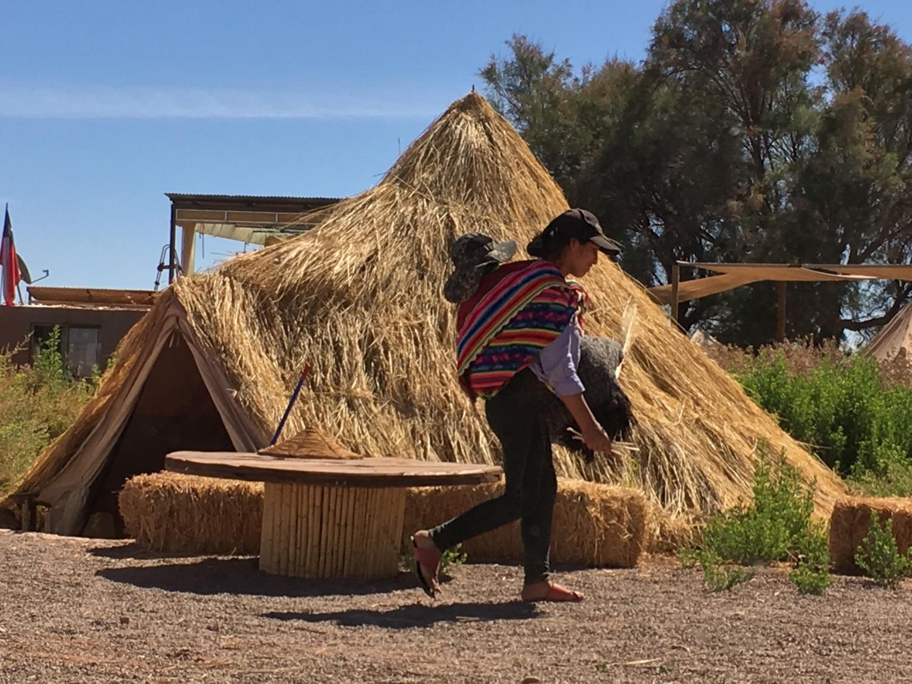 Atacama Loft & Glamp