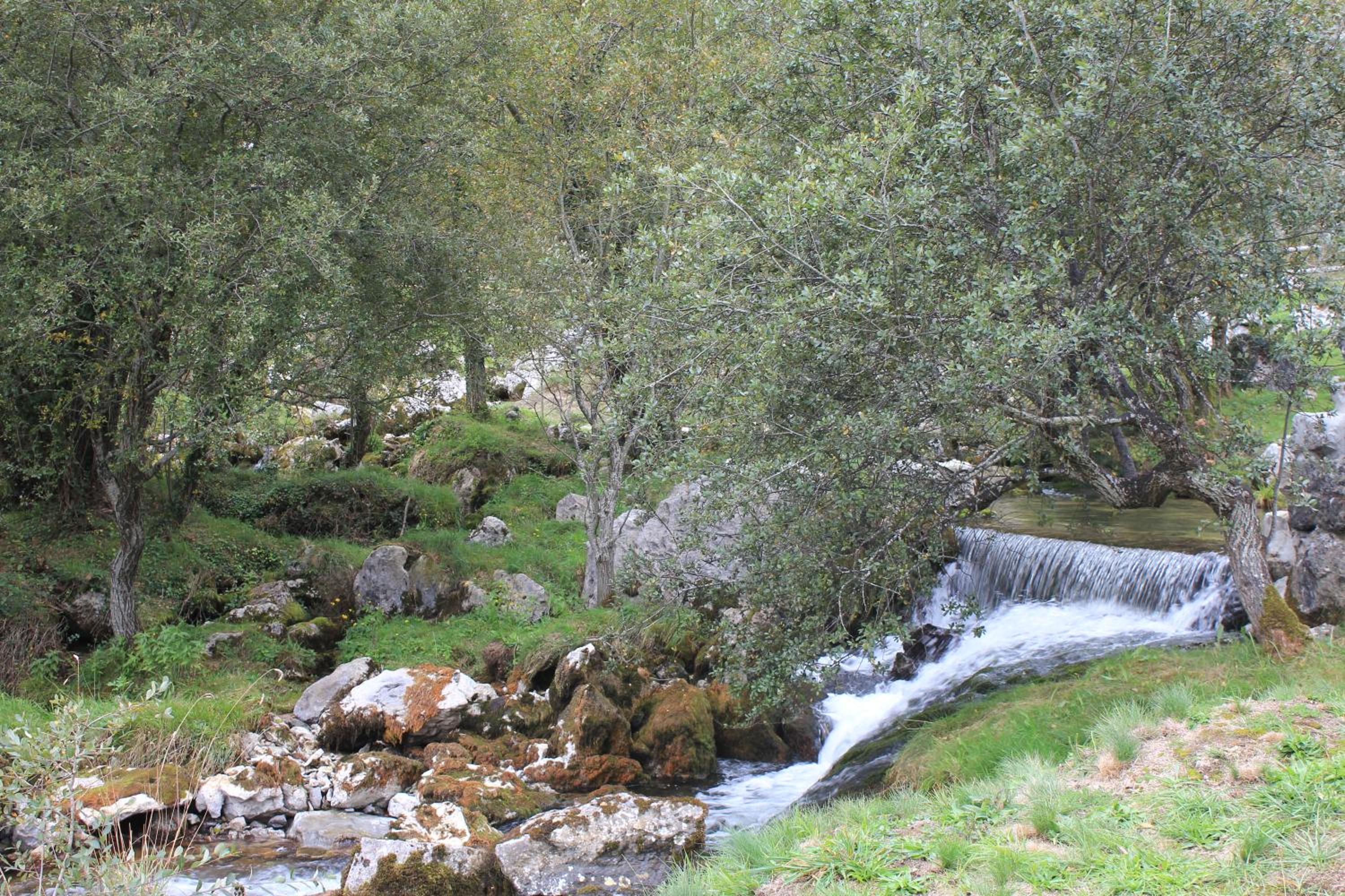 Photo 48