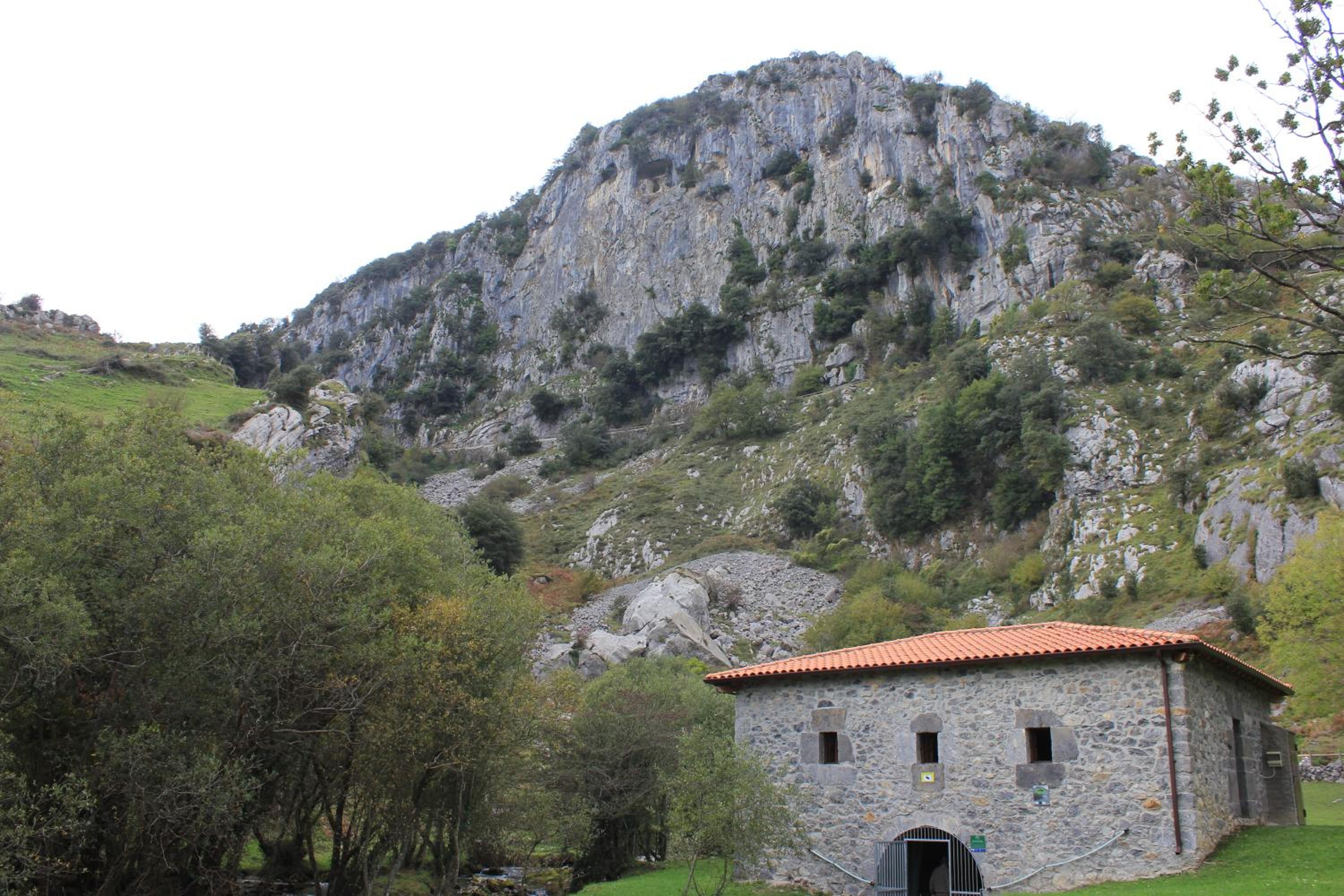 Photo 49