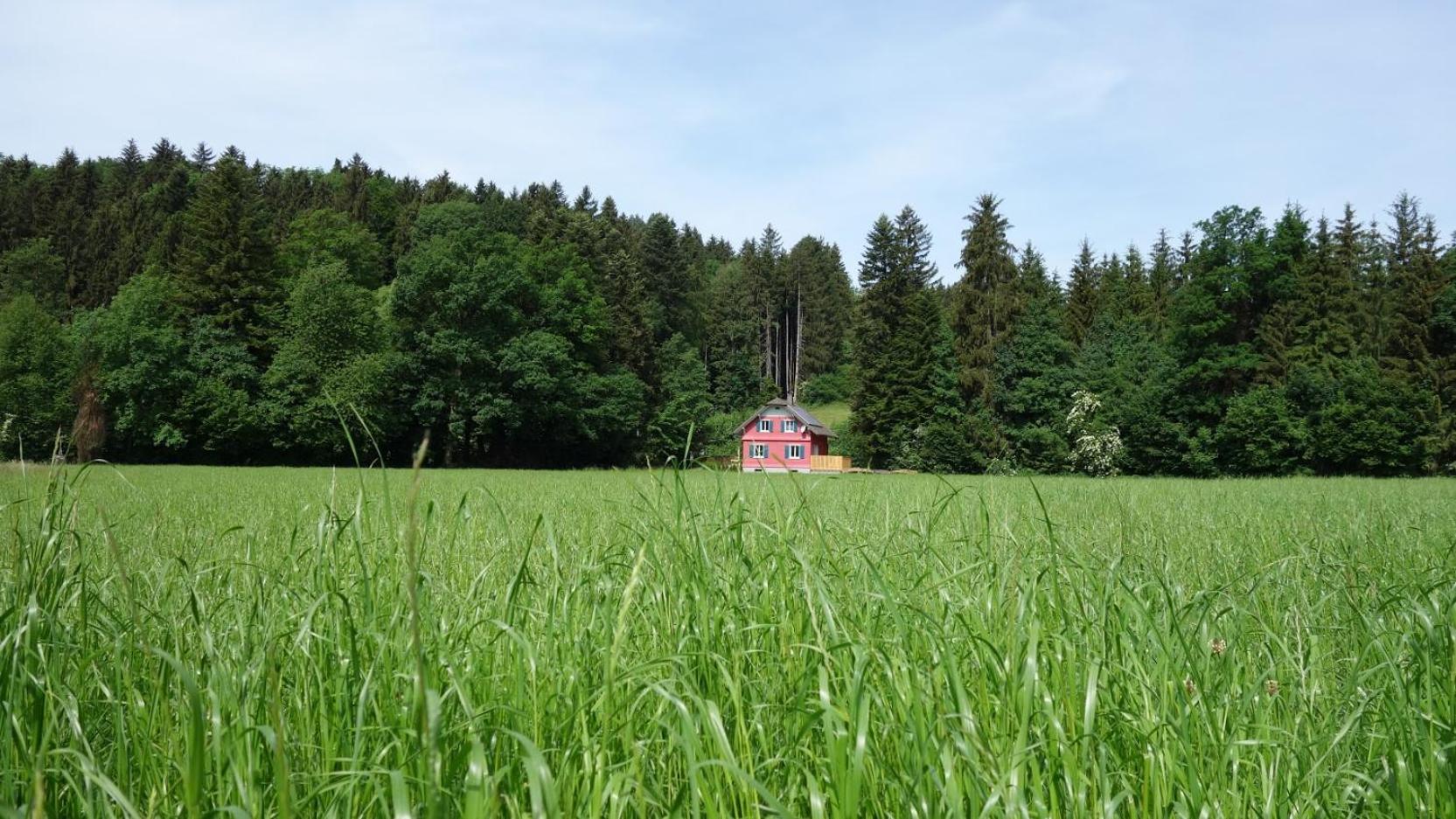 Erwins Ferien-Paradies