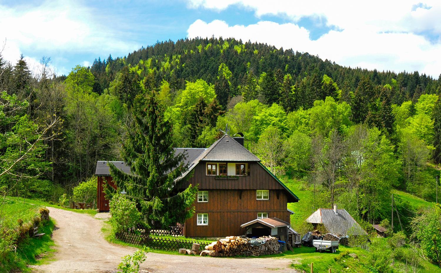 Hotel Ferienhaus Hinterzarten - Image 1
