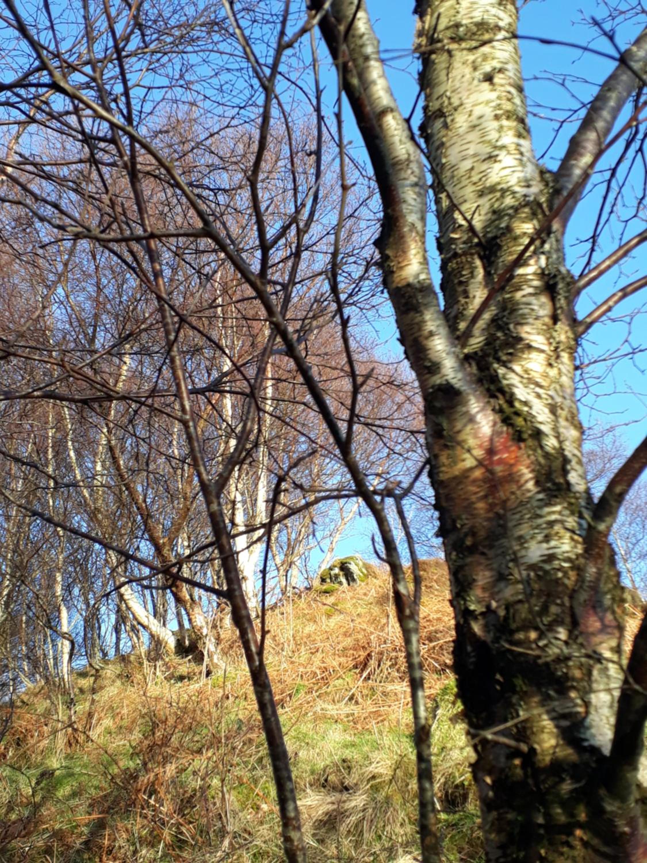 Garragh Mhor