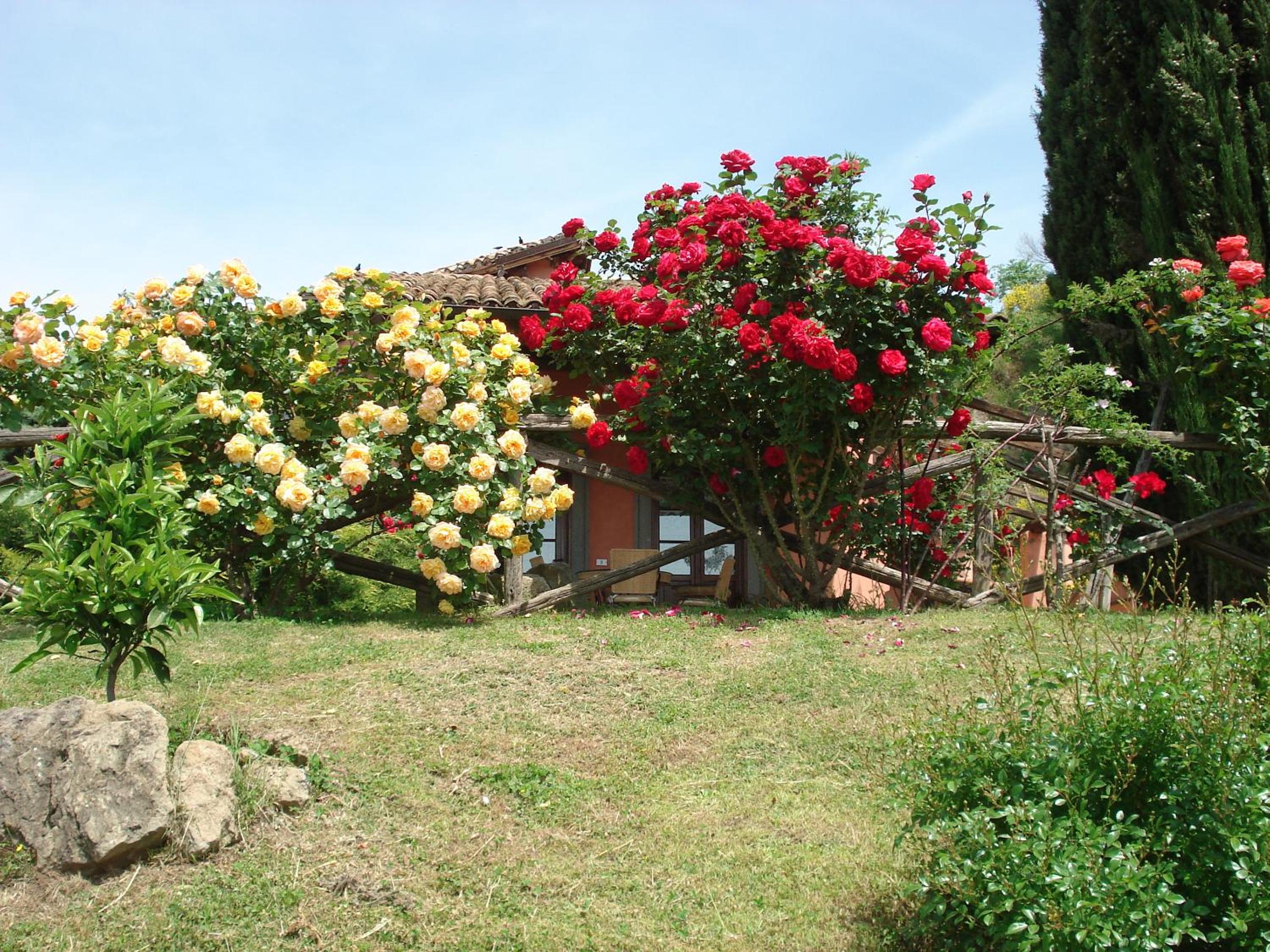 Photo 15