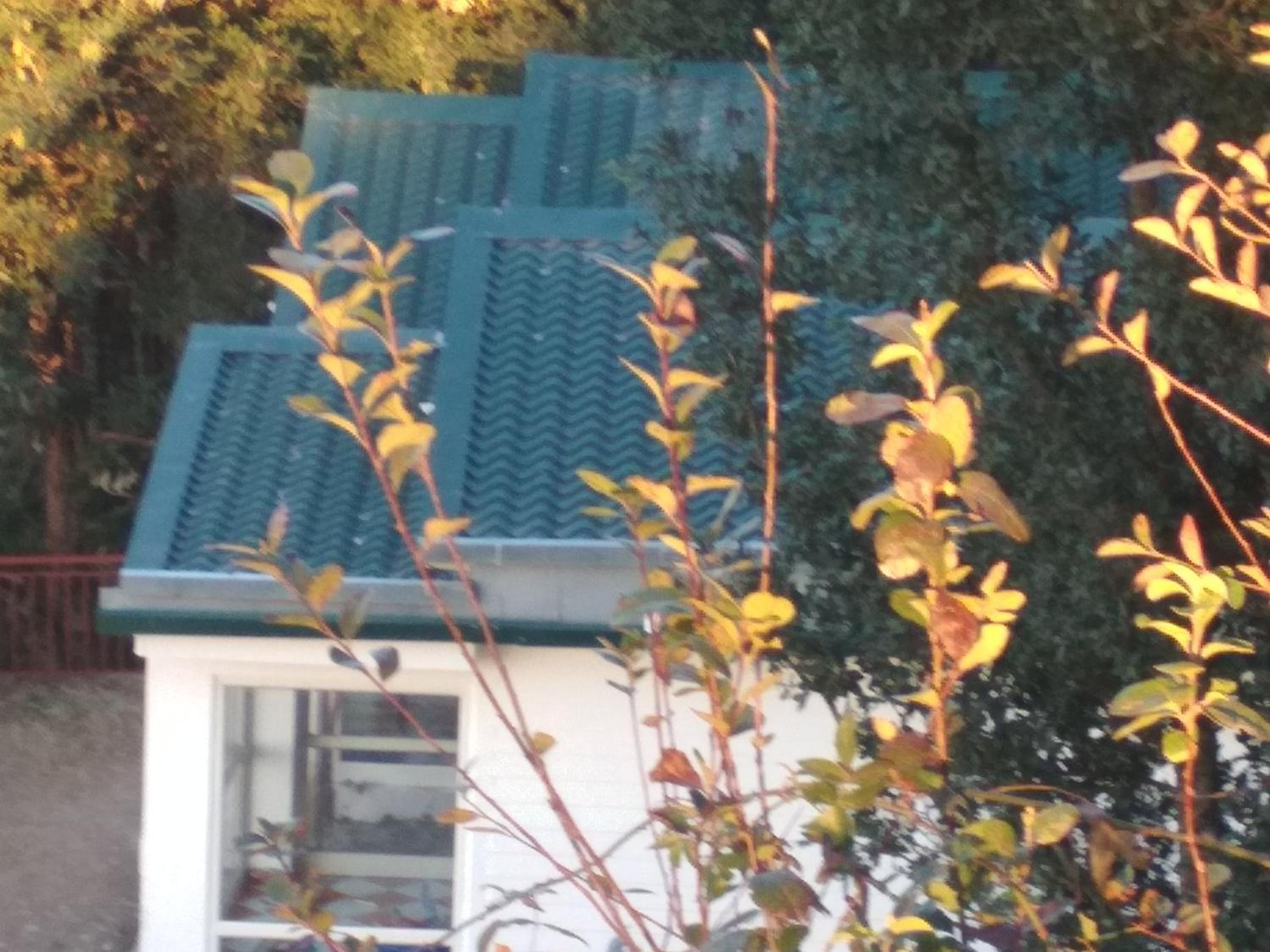 MUSKOTIA Independent Cottages