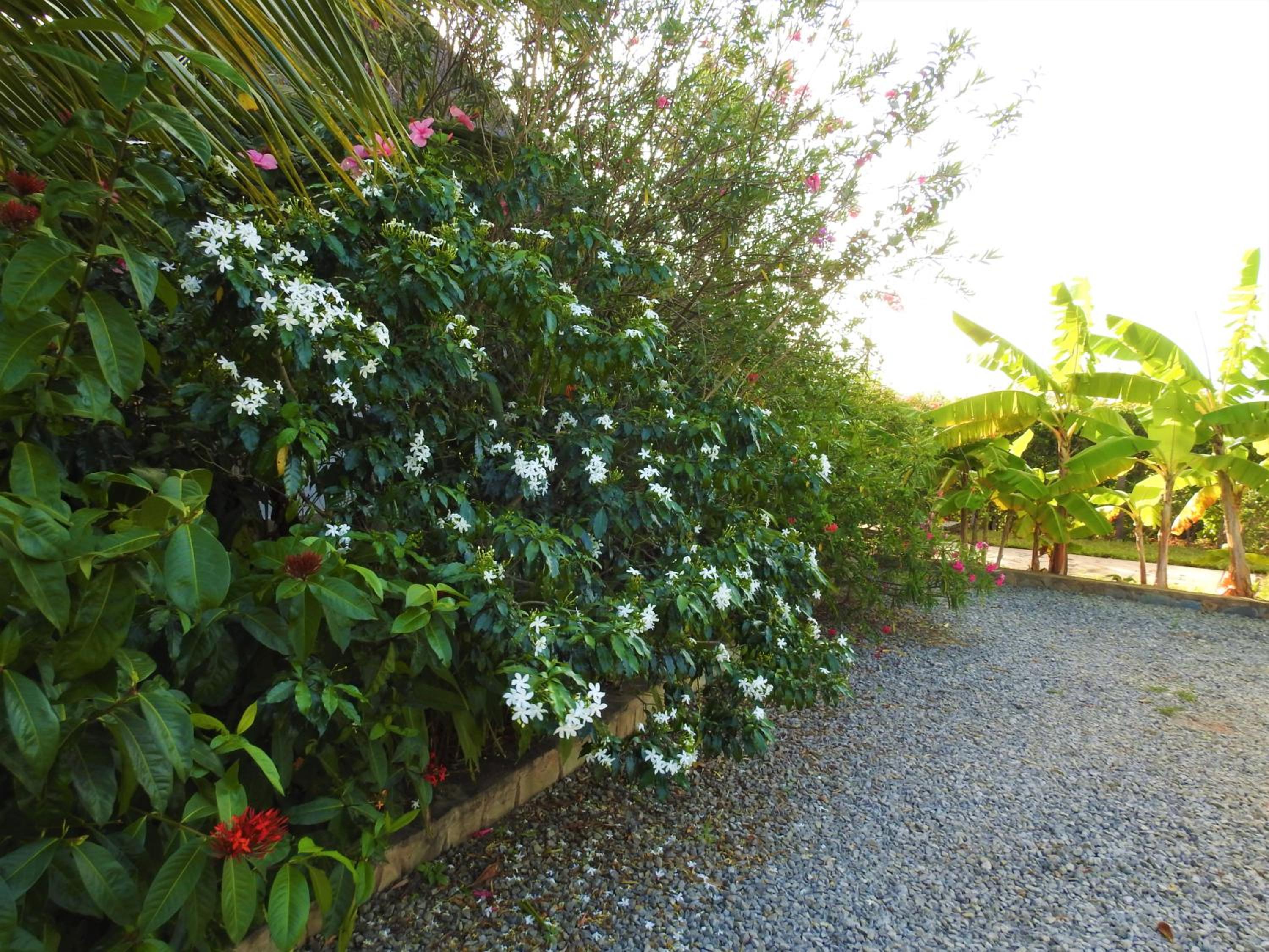 Photo 22