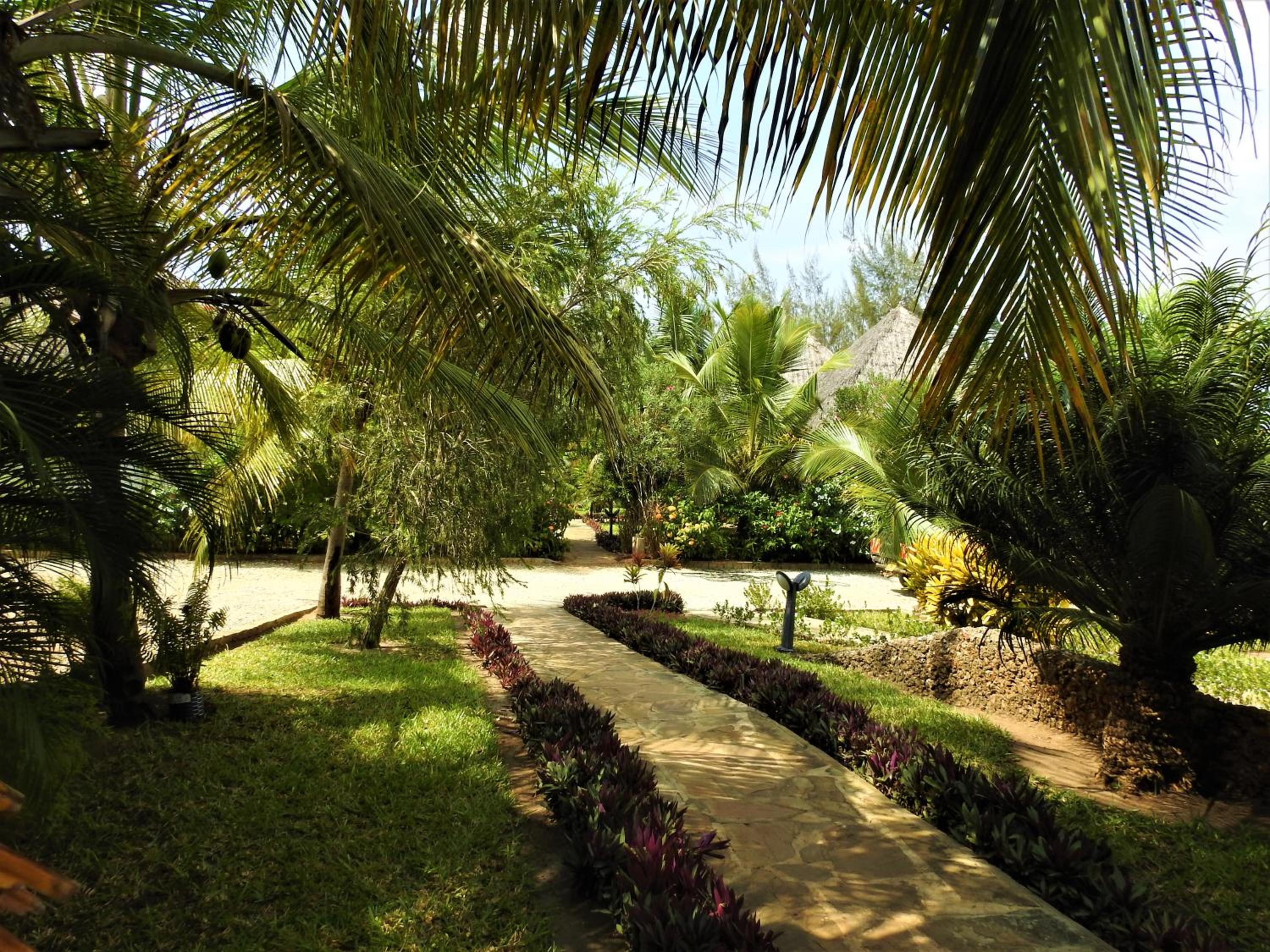 Sheba Cottages - Diani Beach view 3