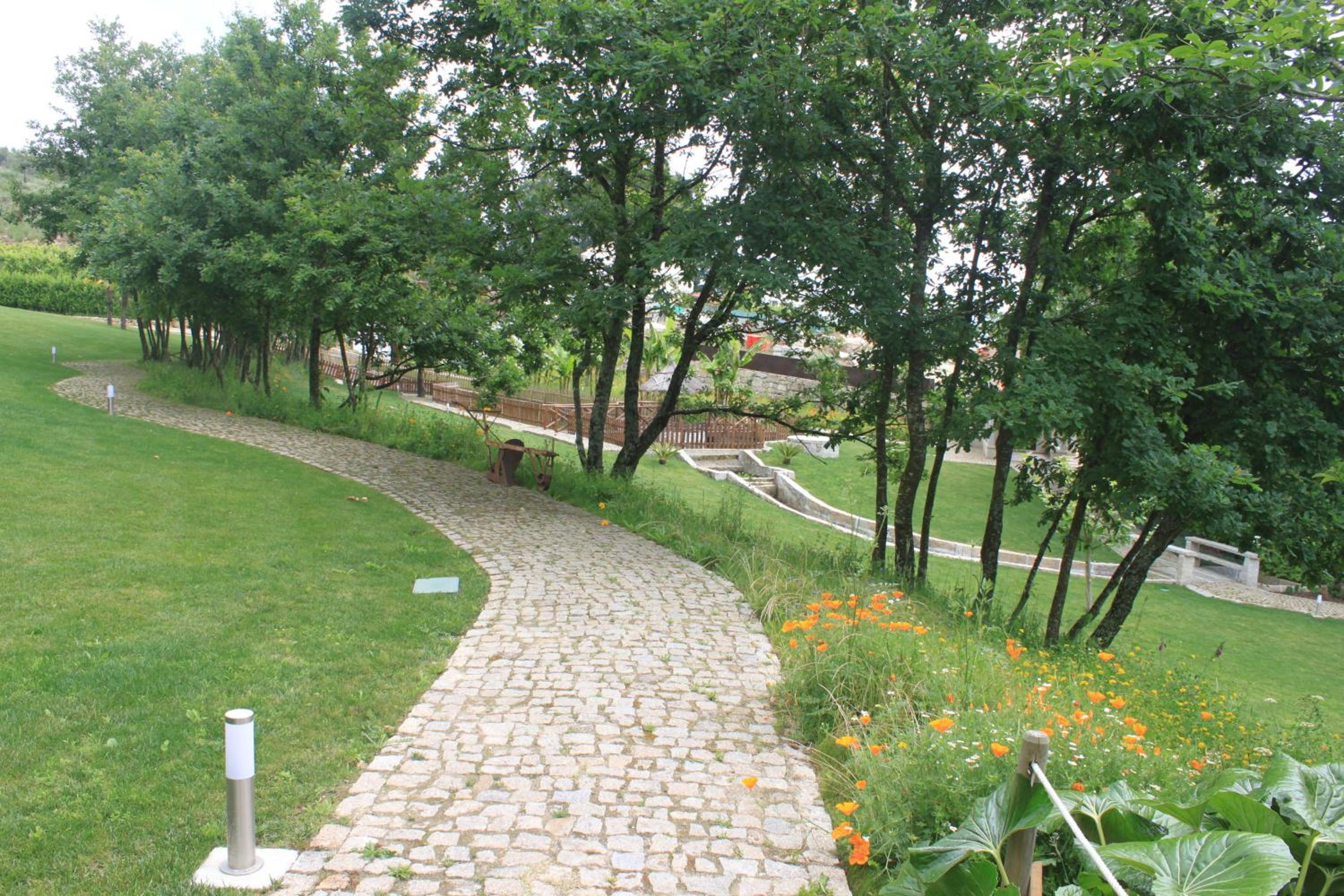 Photo 31