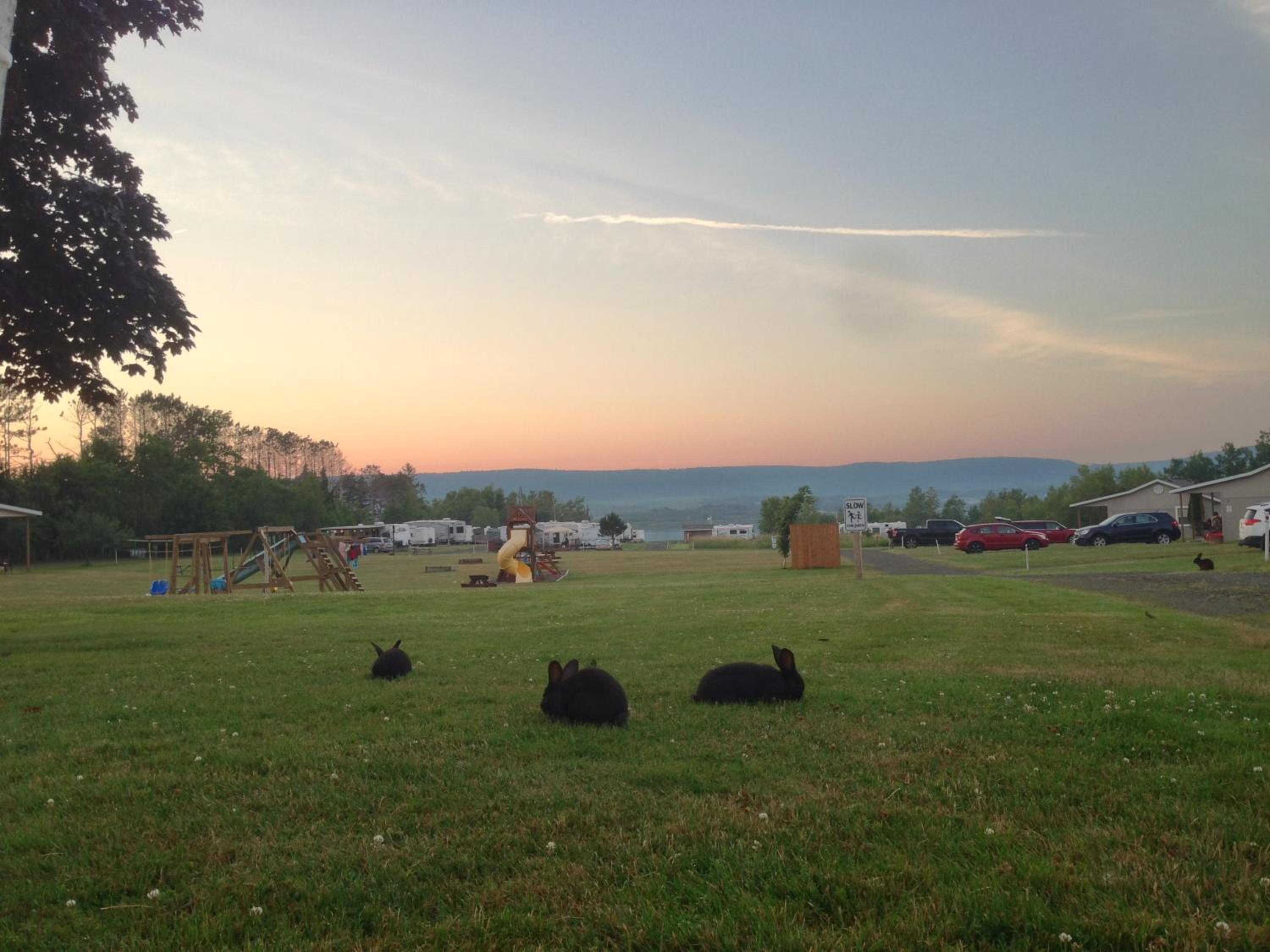 Upper Clements Cottages & RV Park