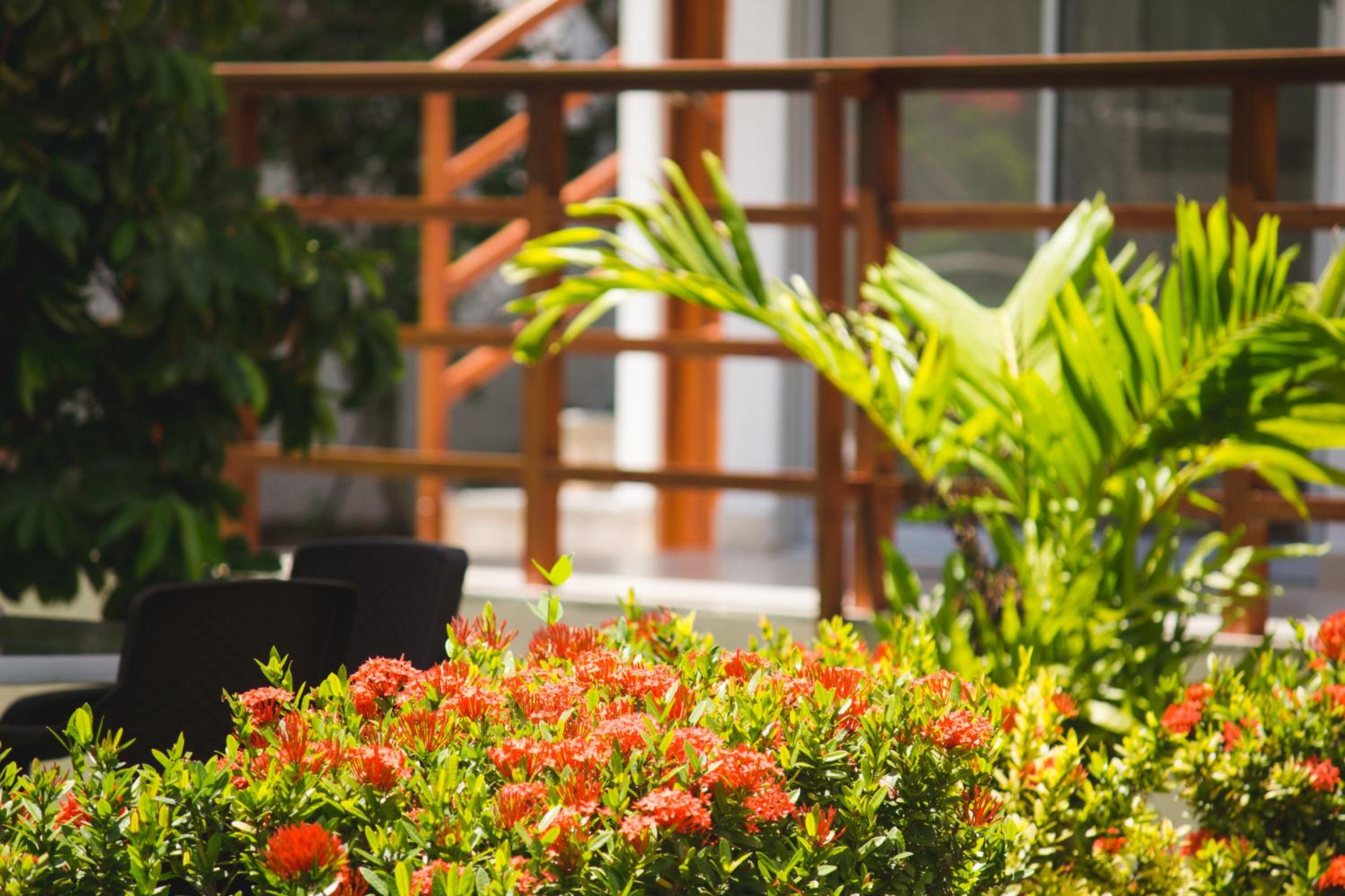Cabañas Green Yard