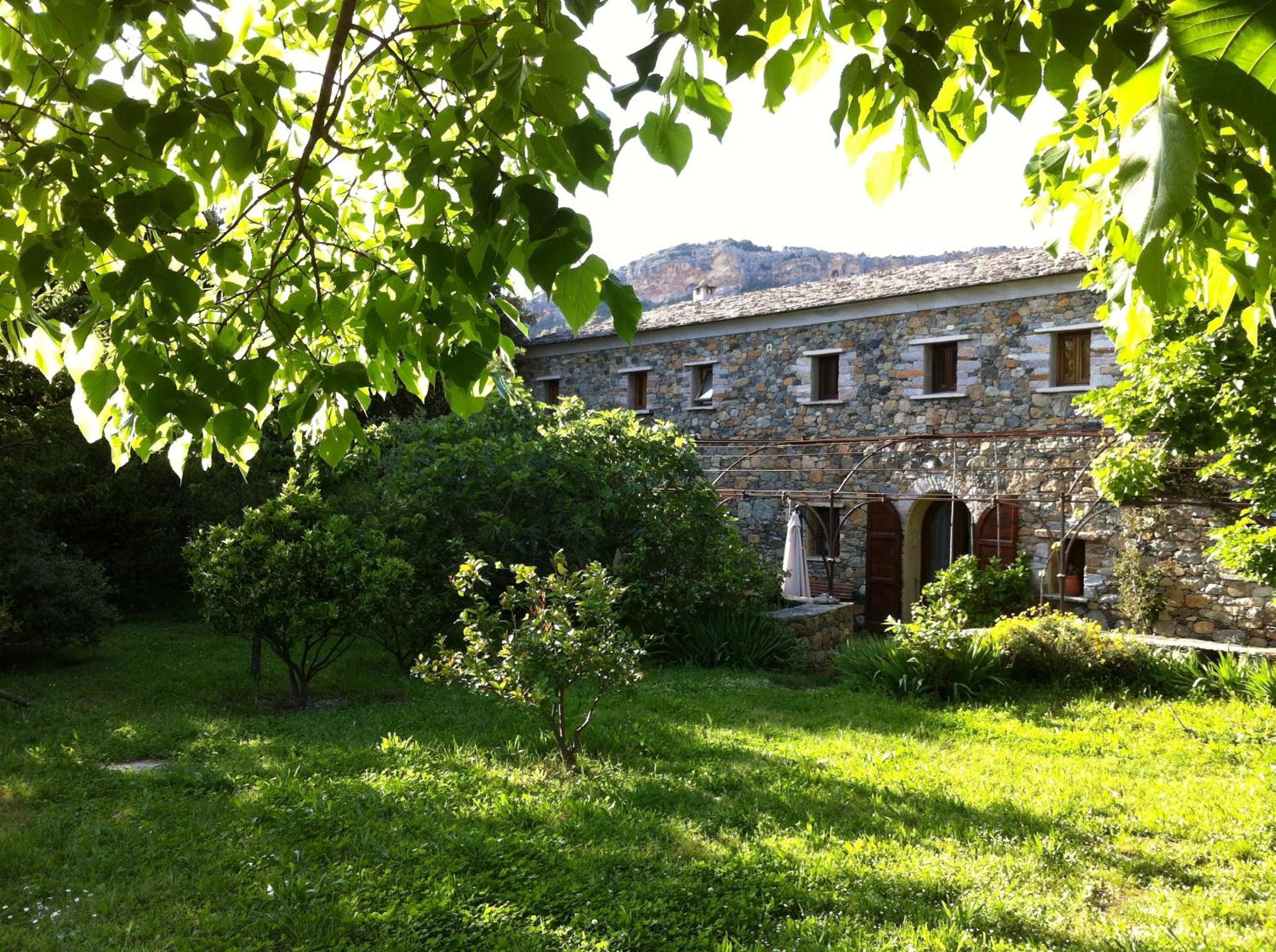 Photo 29
