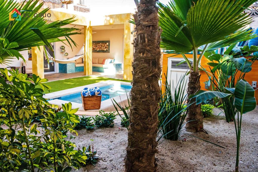 Hotel Casa Oasis - Image 1