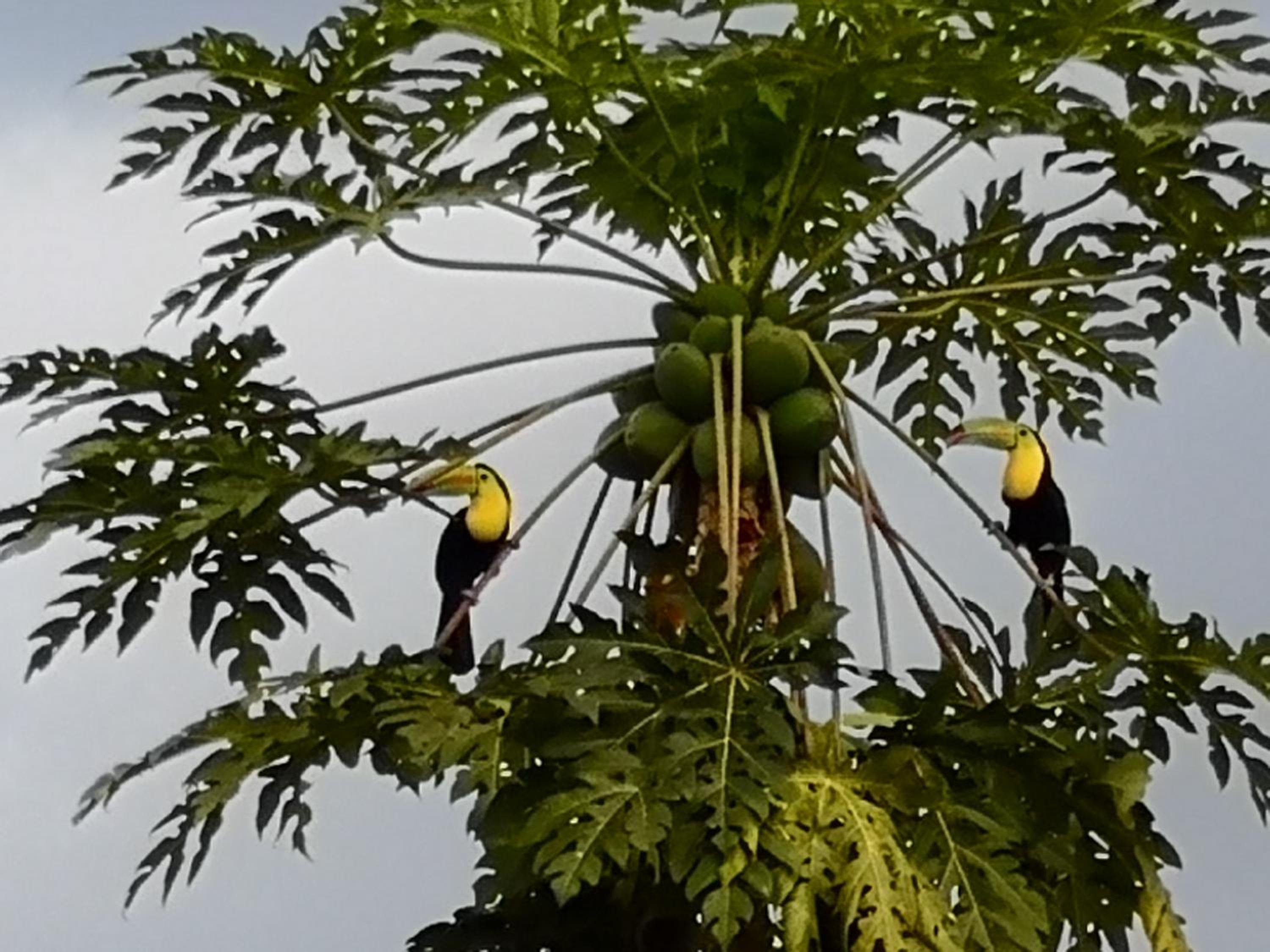 Tío Felix Eco Lodge
