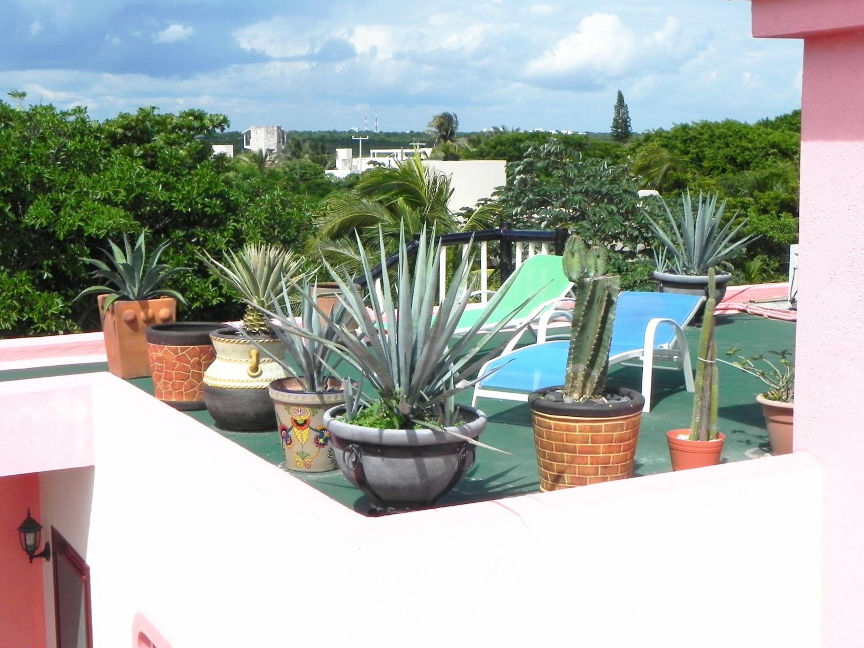Casa Gatos Suites