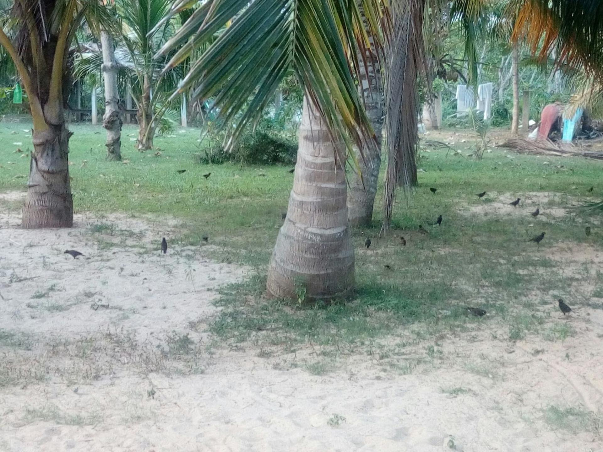 Beach Lagoon Guesthouse