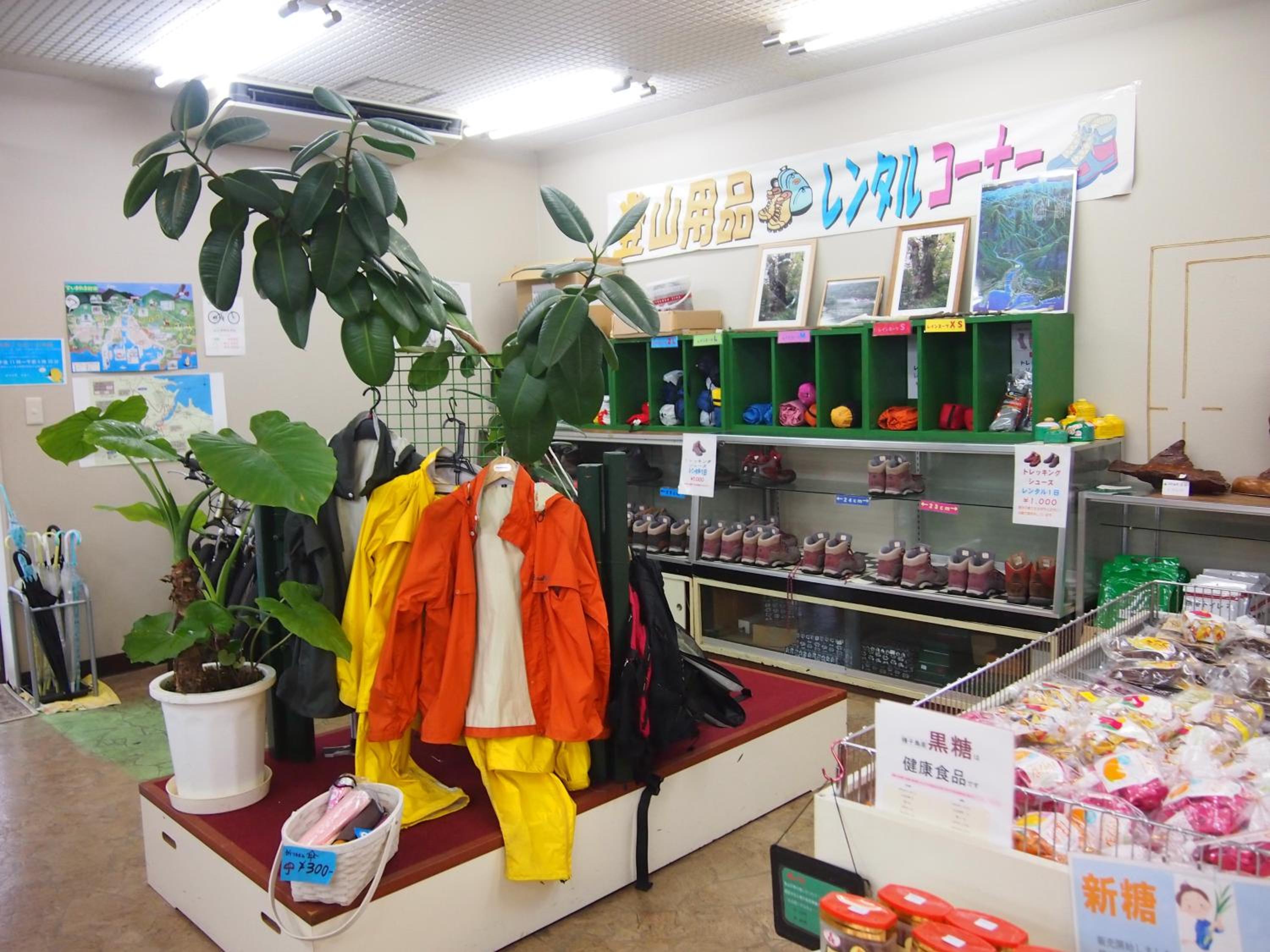 Tashiro Annex