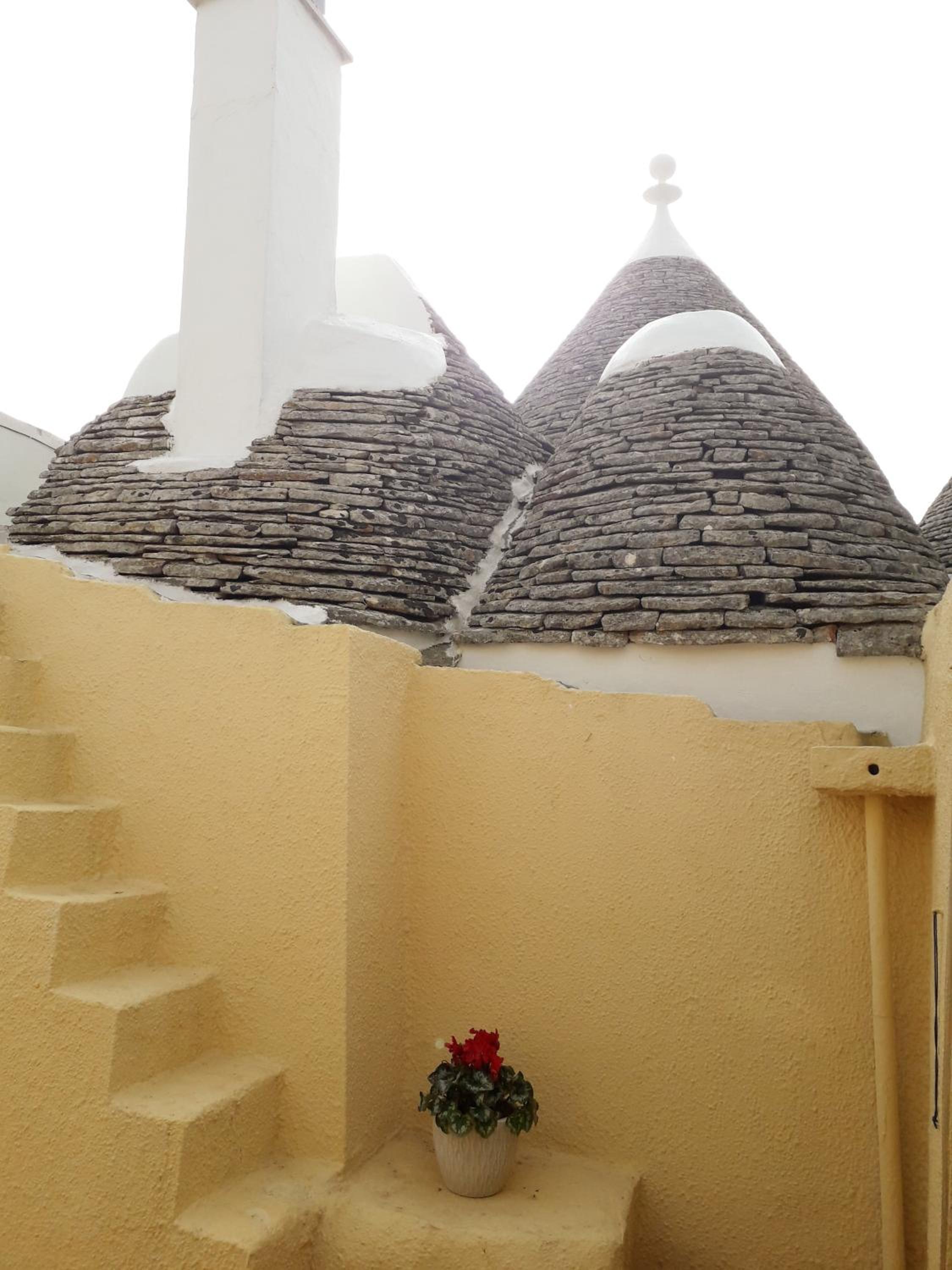 Photo 47