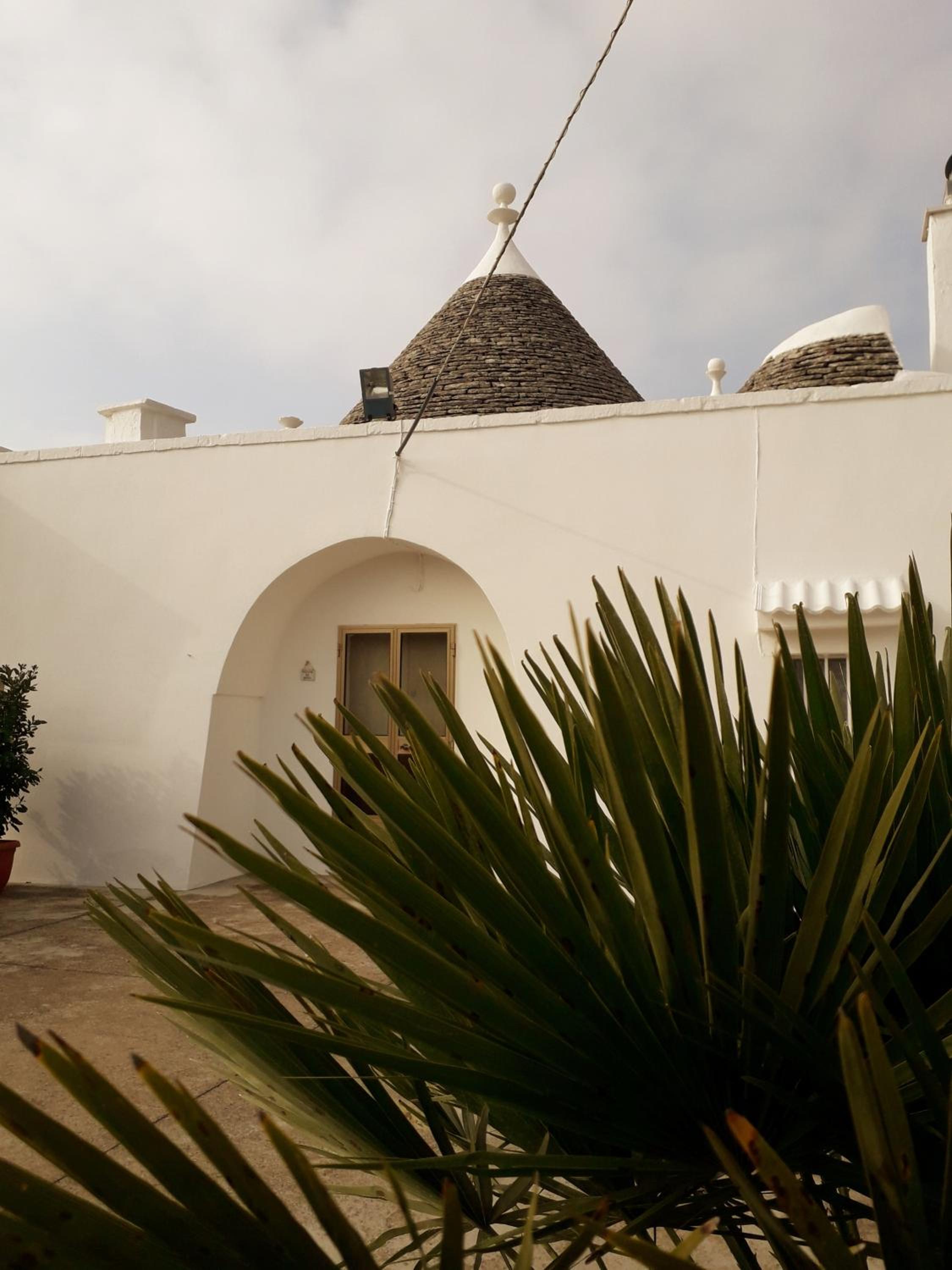 Photo 45