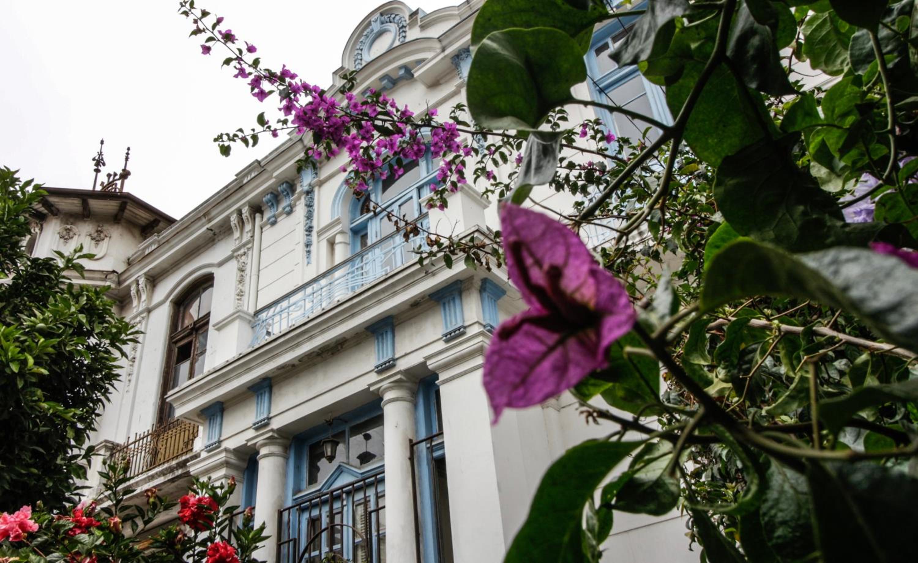 Blanca Rosa Valparaiso B&B