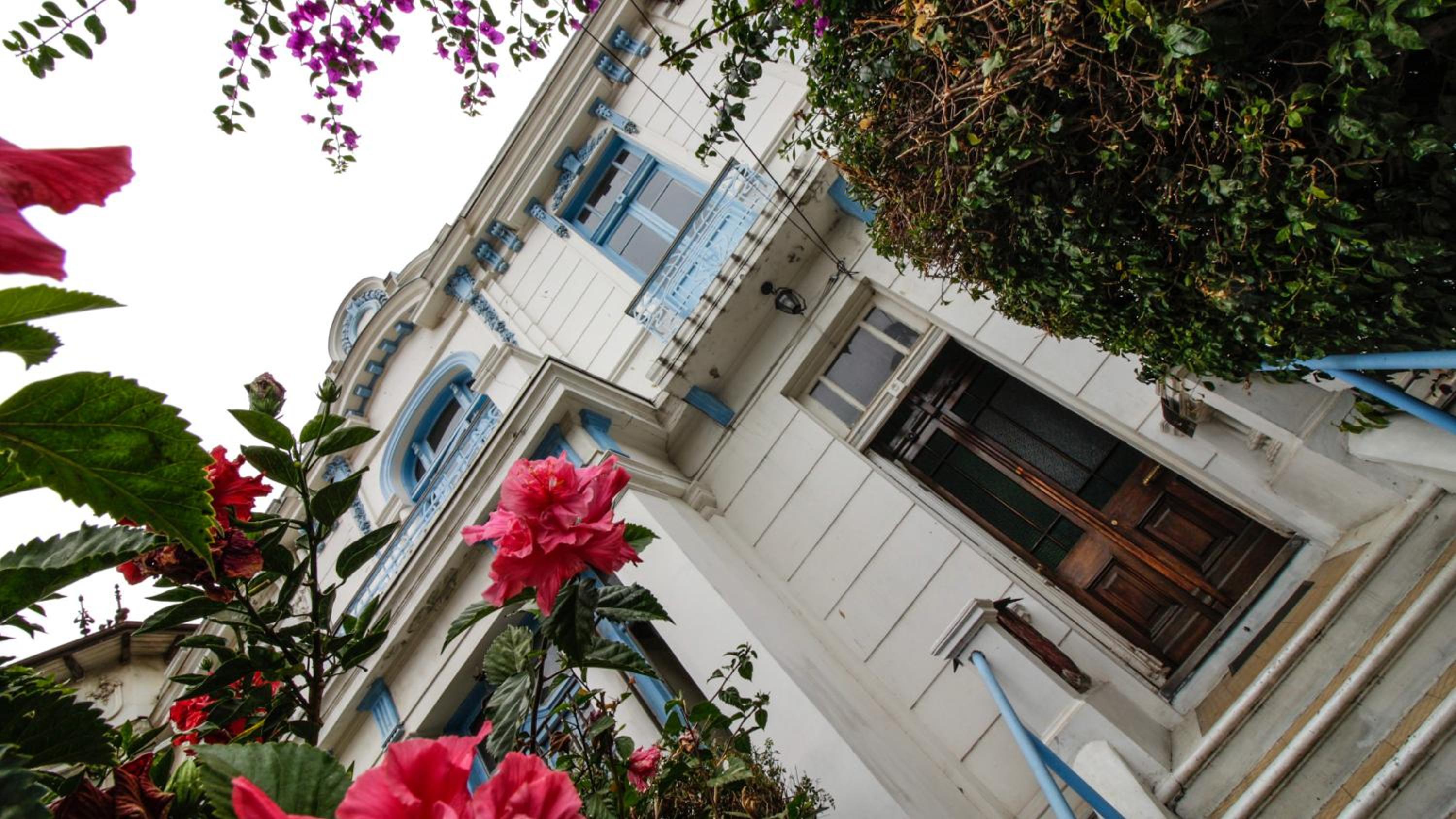 Blanca Rosa Valparaiso B&B