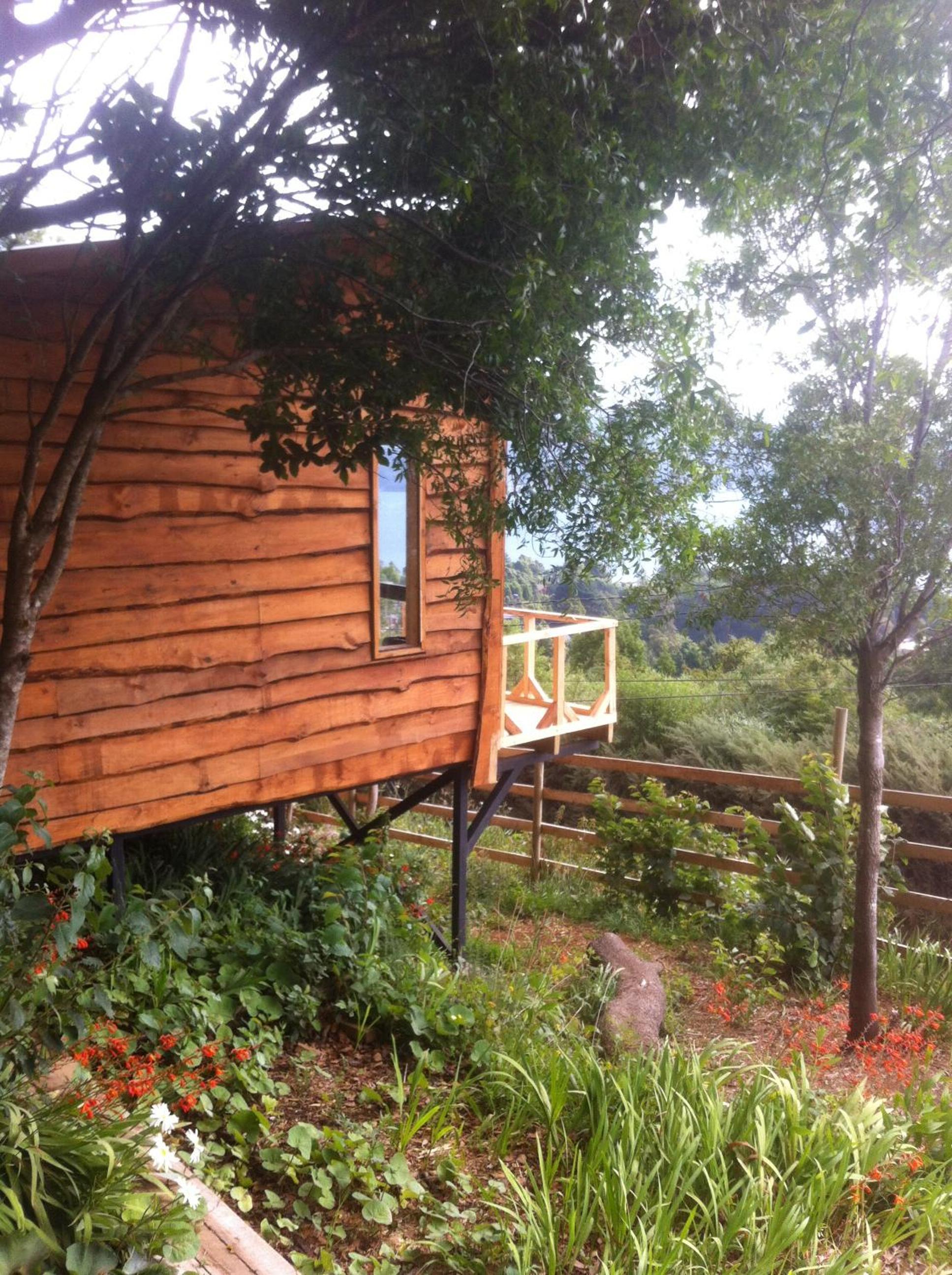 Photo 19