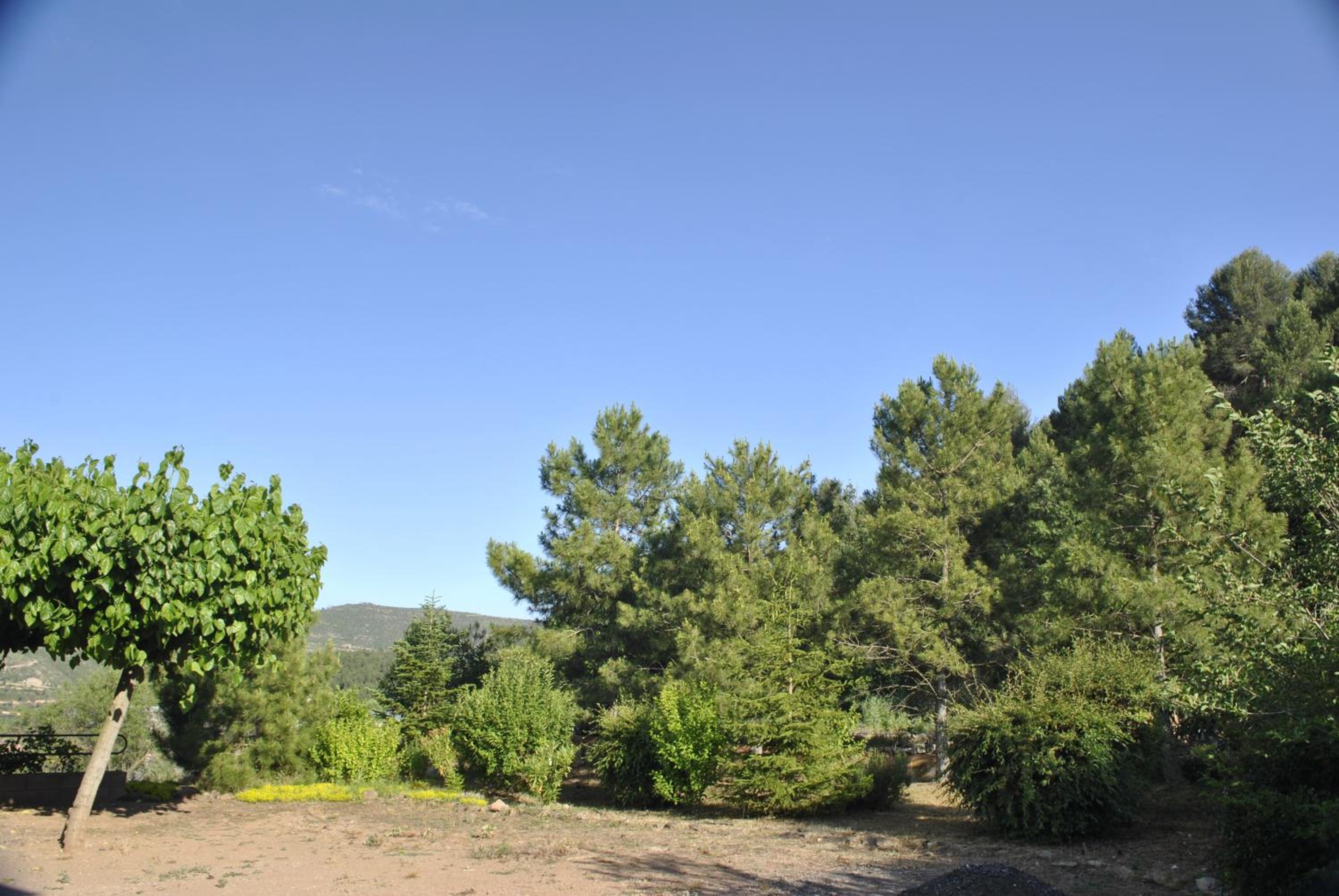 Hostal El Violí