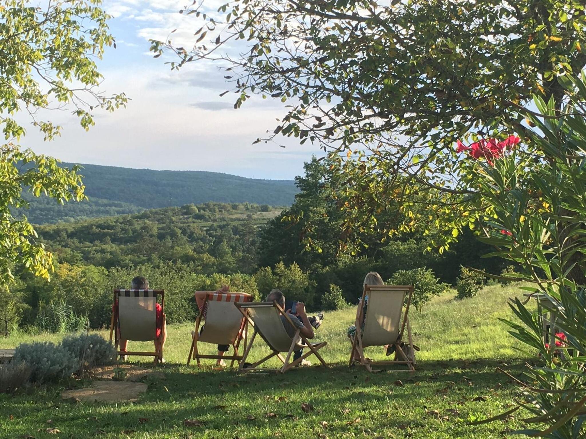 Bolara 60: the Cottage view 4