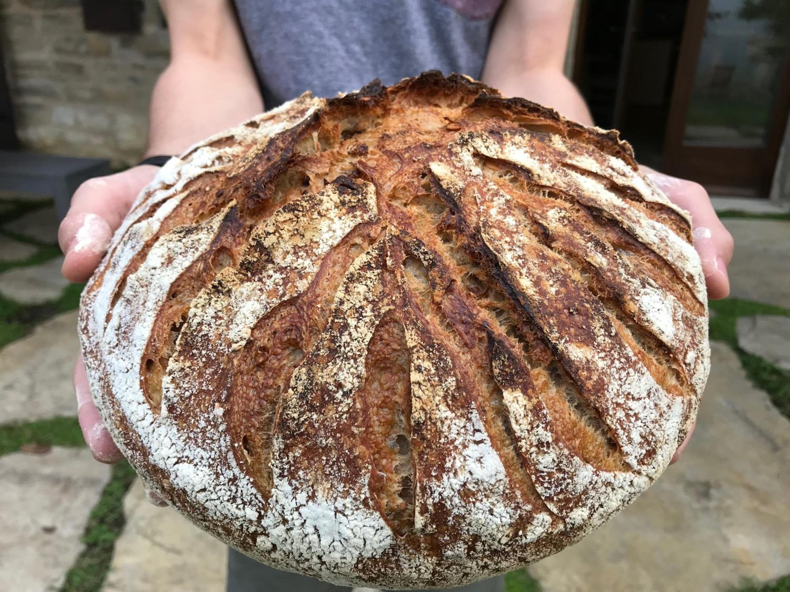 Photo 20