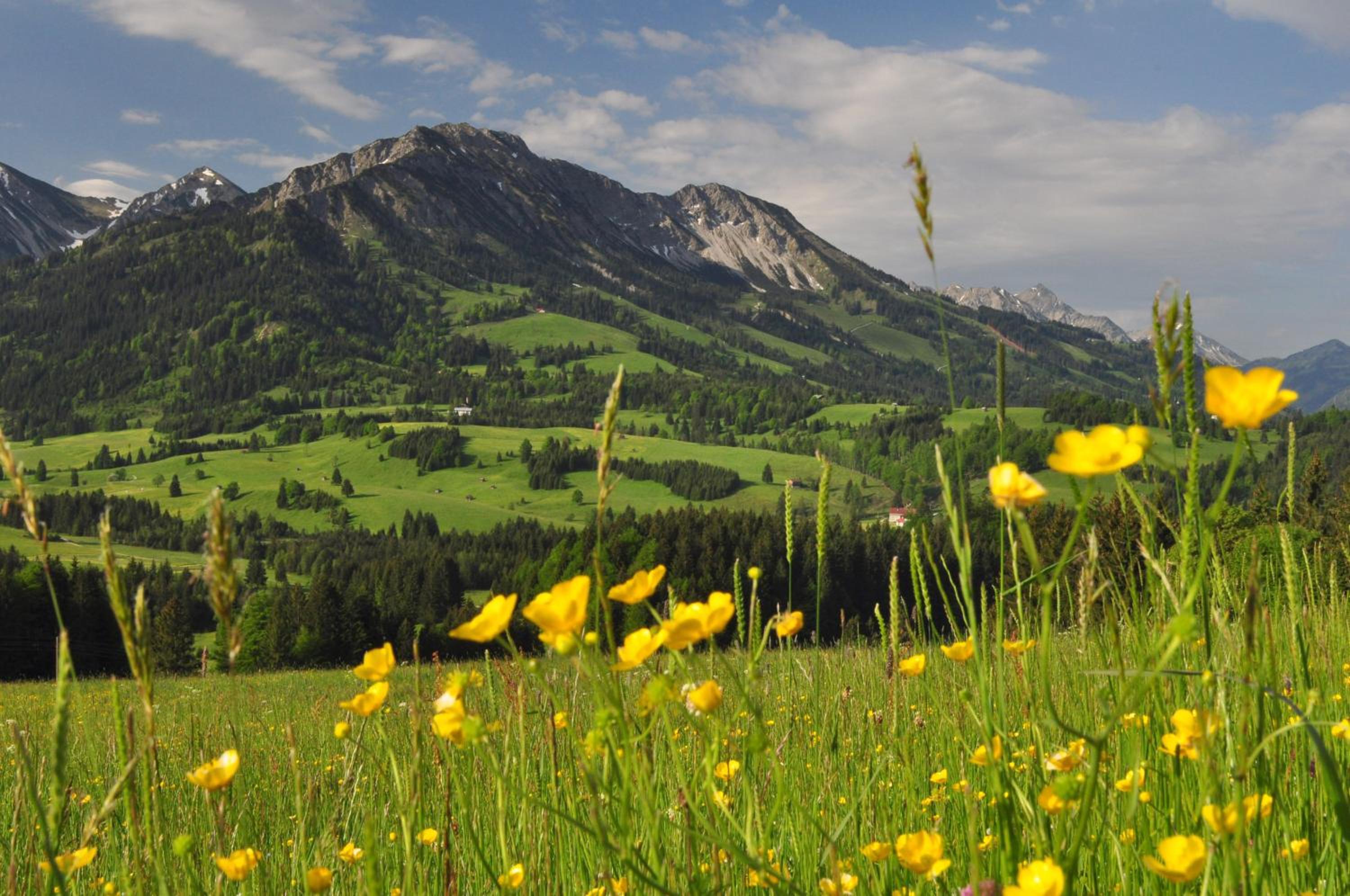 Sonnenpark, Ihr Bett im Allgäu