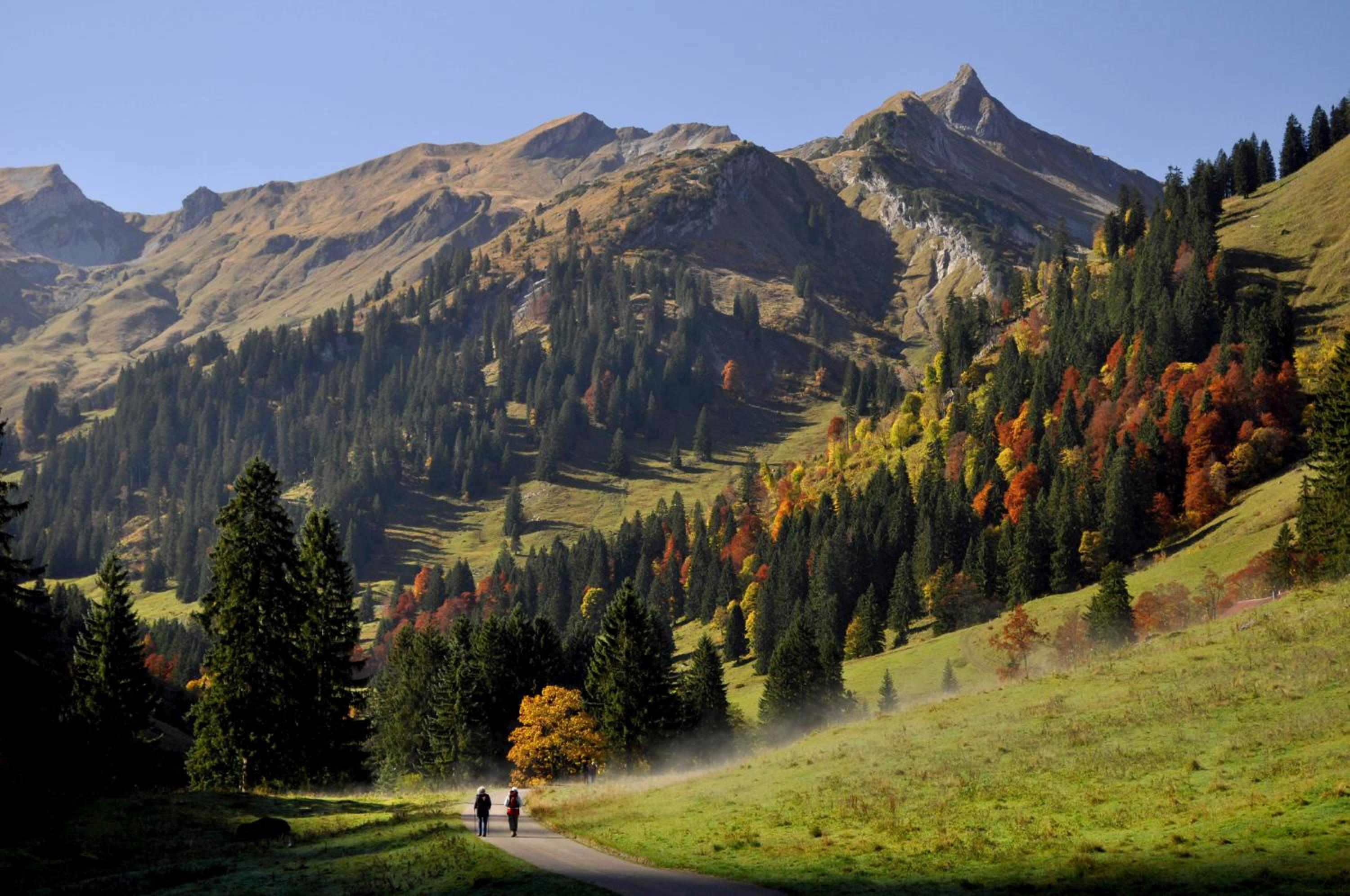 Sonnenpark, Ihr Bett im Allgäu