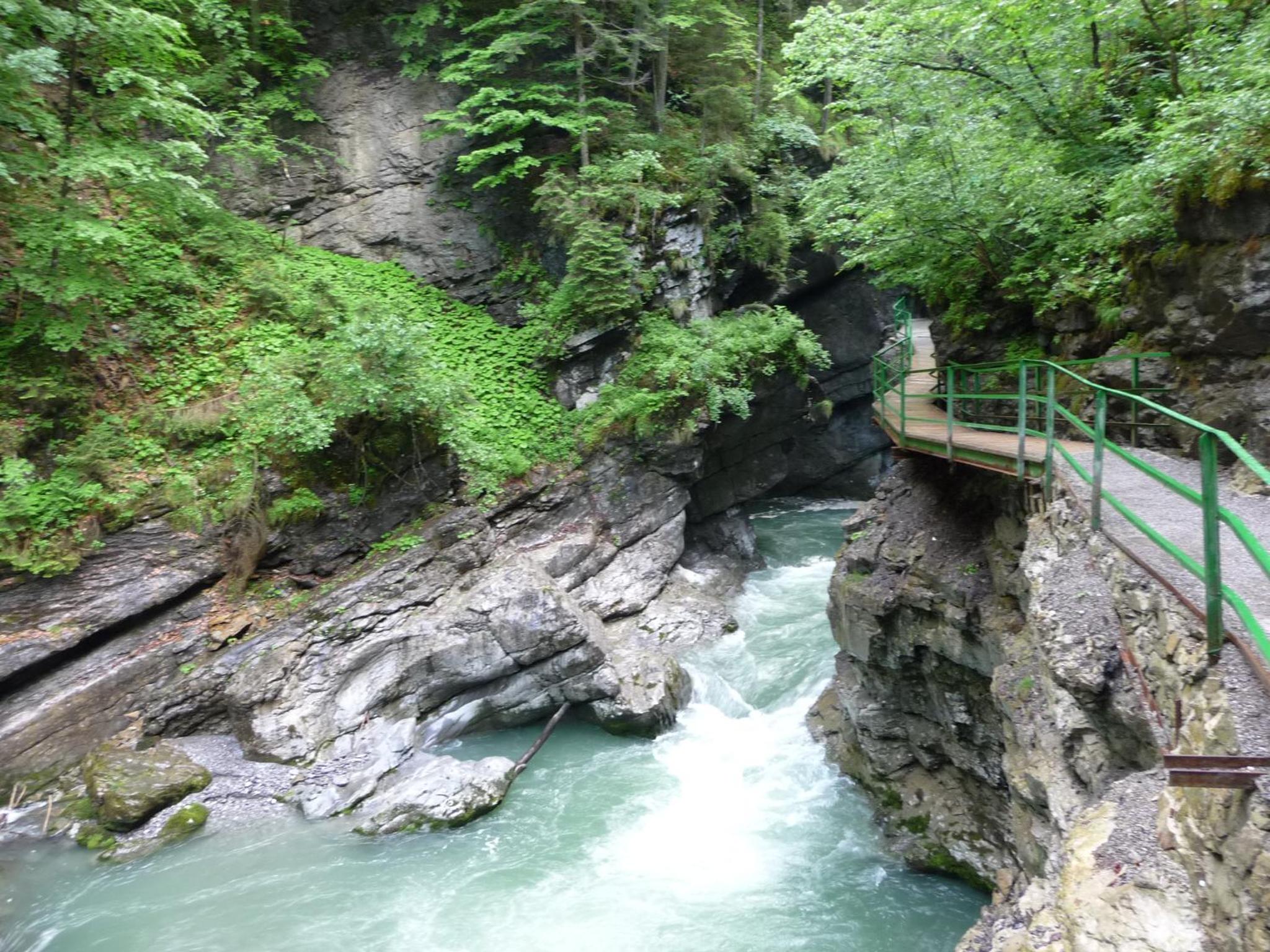 Komfort-Fewo "Allgäublick" - im südlichen Kurviertel nahe Therme, Wiesen - Bergbahnen unlimited Mai-Nov view 4