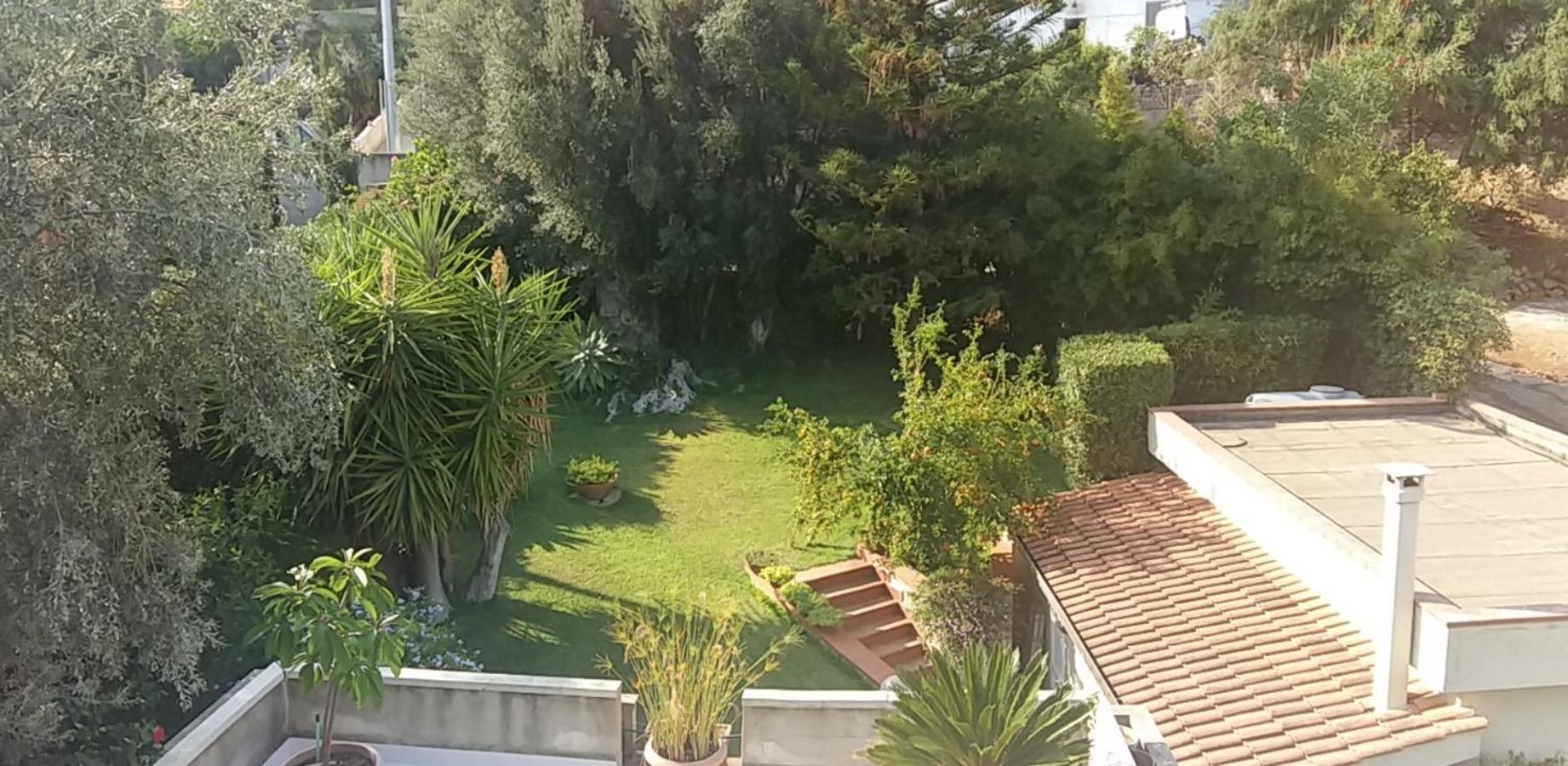 Photo 44