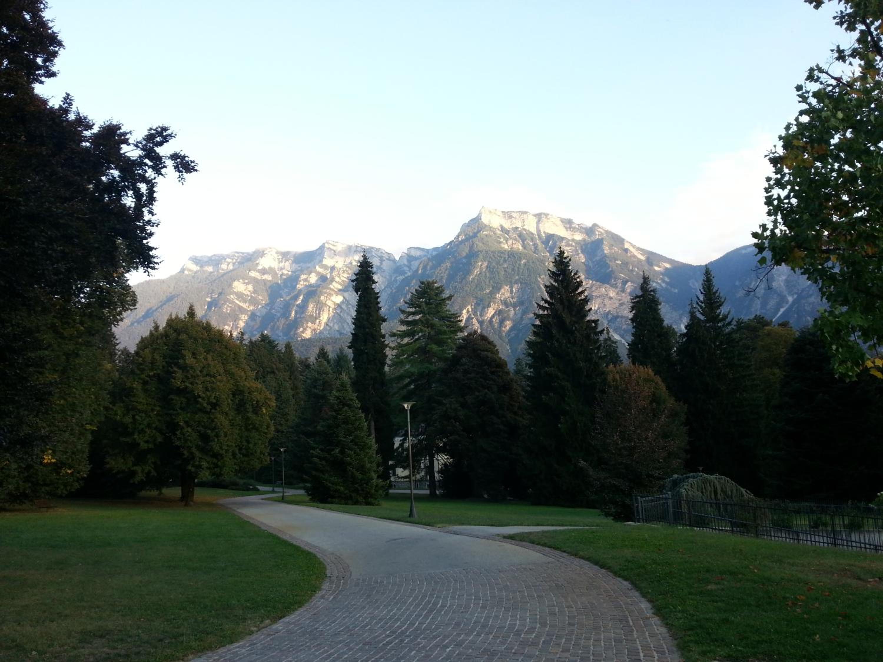 Photo 21
