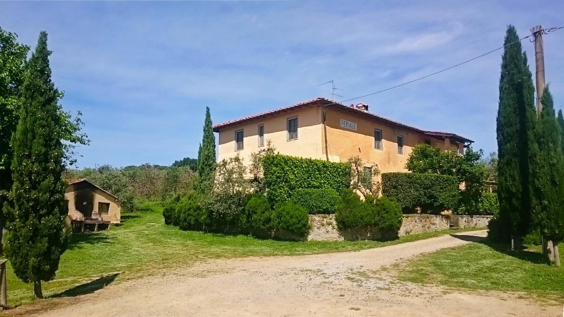 Petrolo