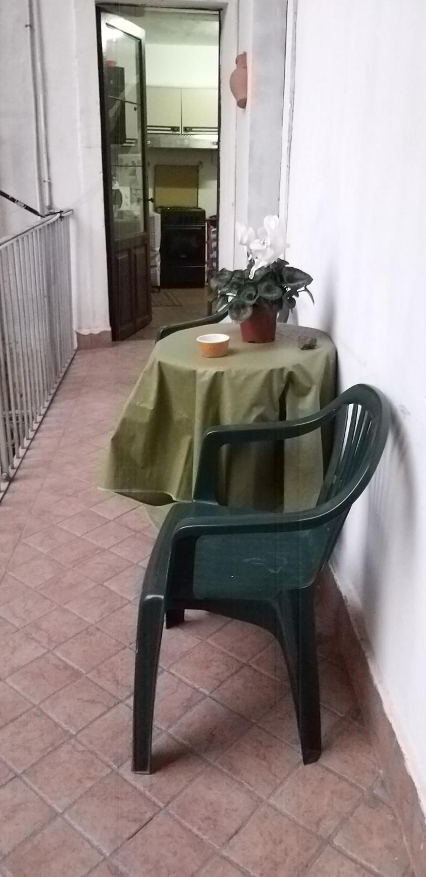I Mici di Emy photo 2