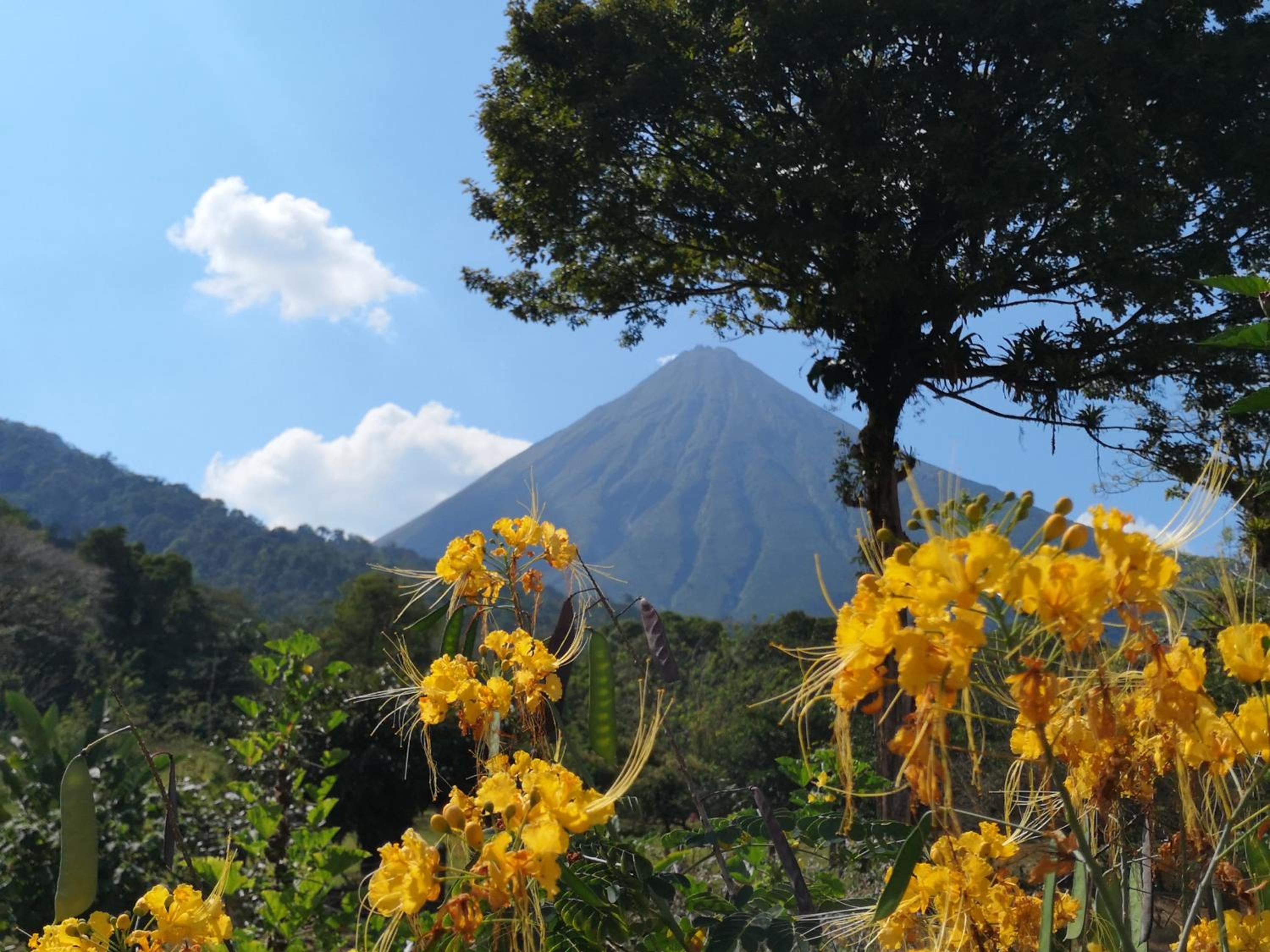 Tío Felix Eco Lodge
