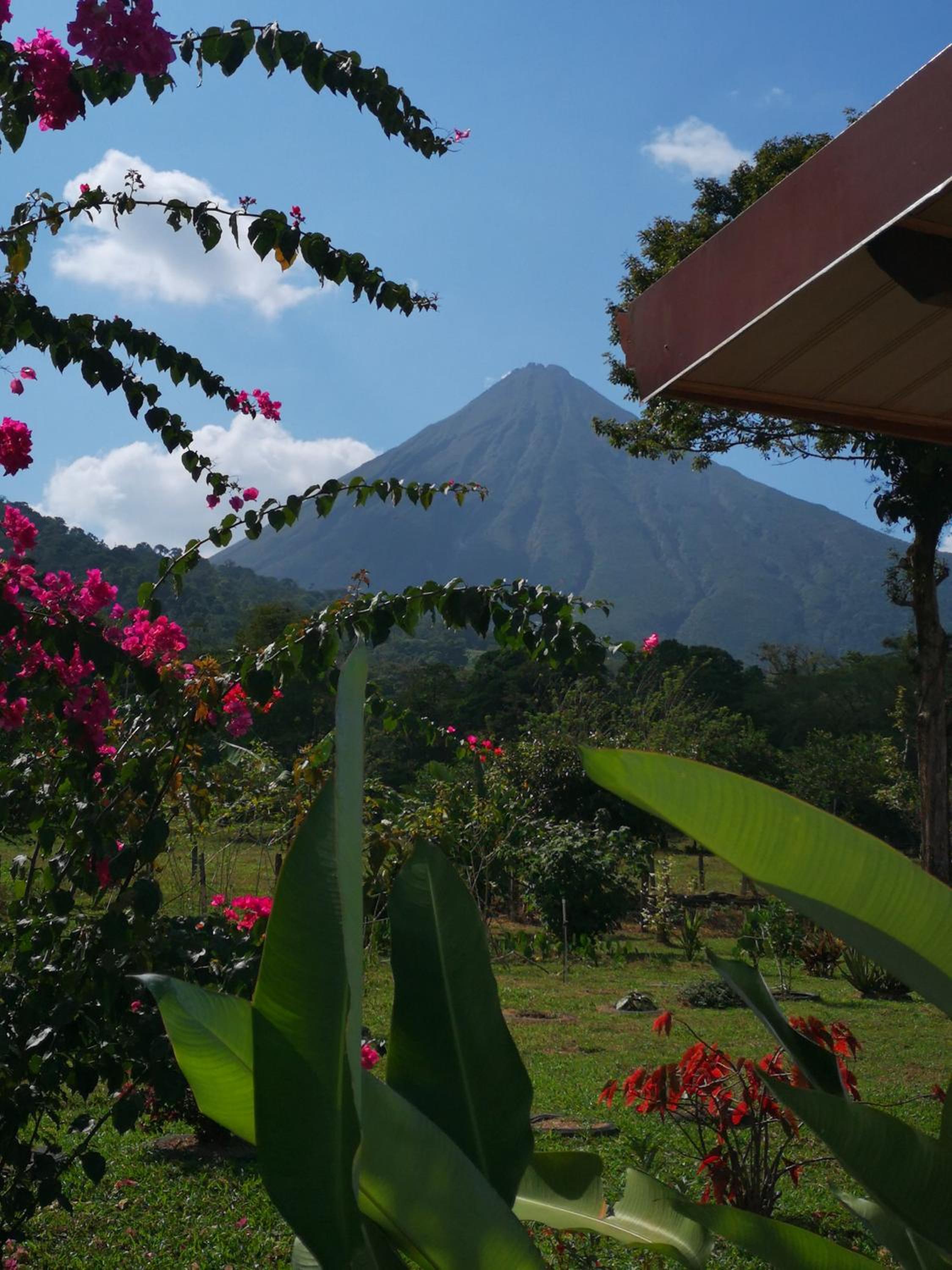 Tío Felix Eco Lodge